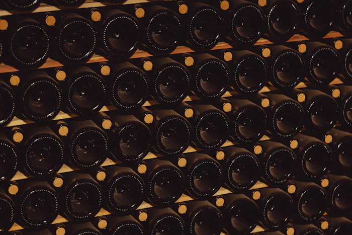 Best Wine Bars in Mendoza for an Unhurried Evening Glass