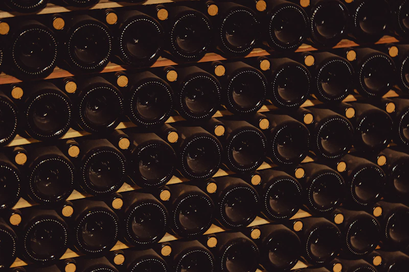 Best Wine Bars in Mendoza for an Unhurried Evening Glass