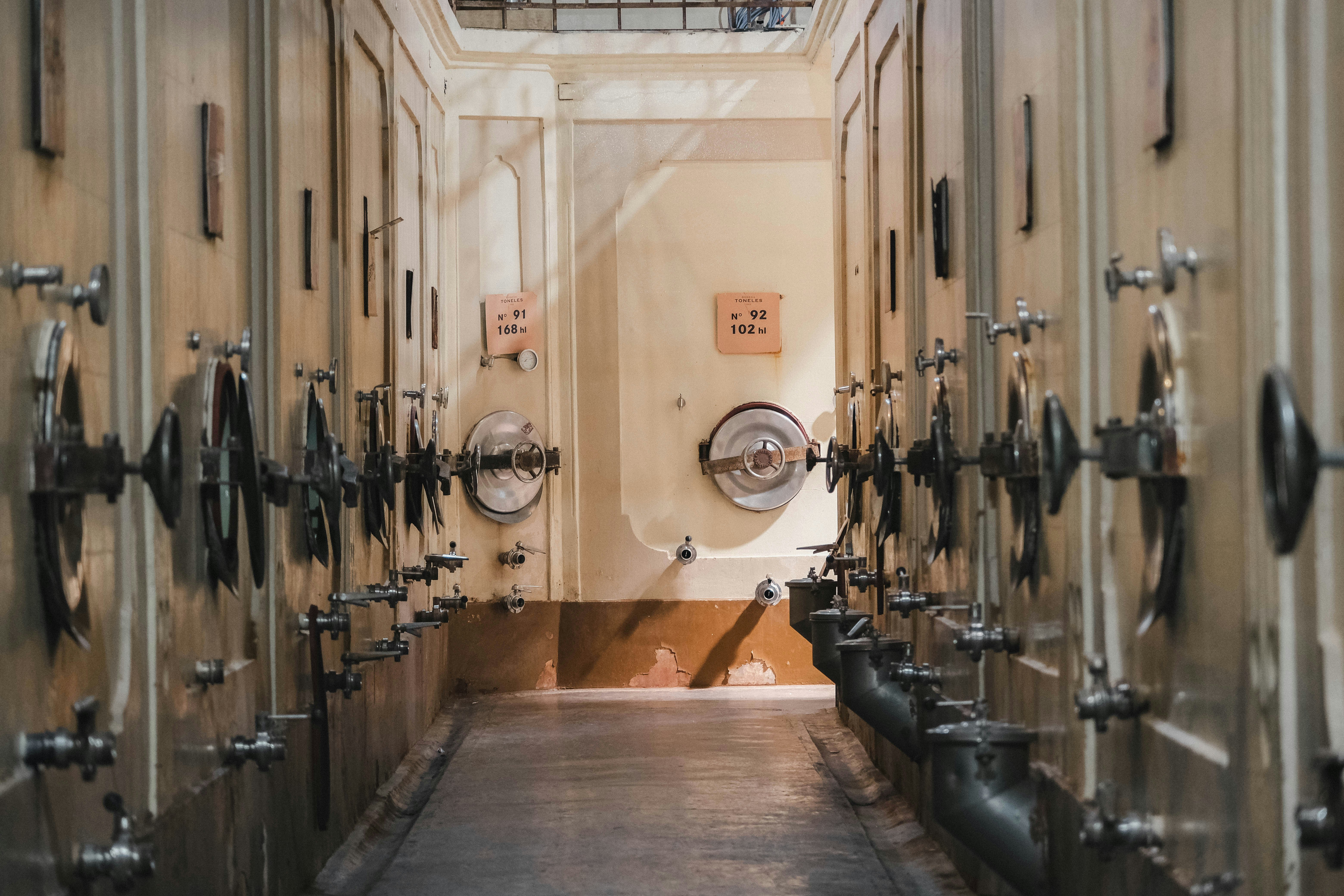 Rows of large fermentation tanks in a winery
