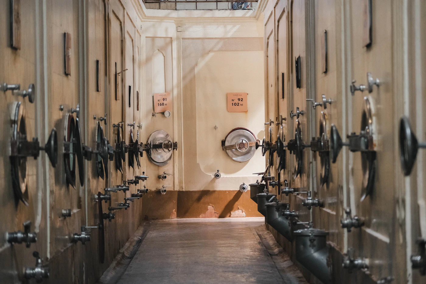 Rows of stainless steel fermentation tanks in a winery