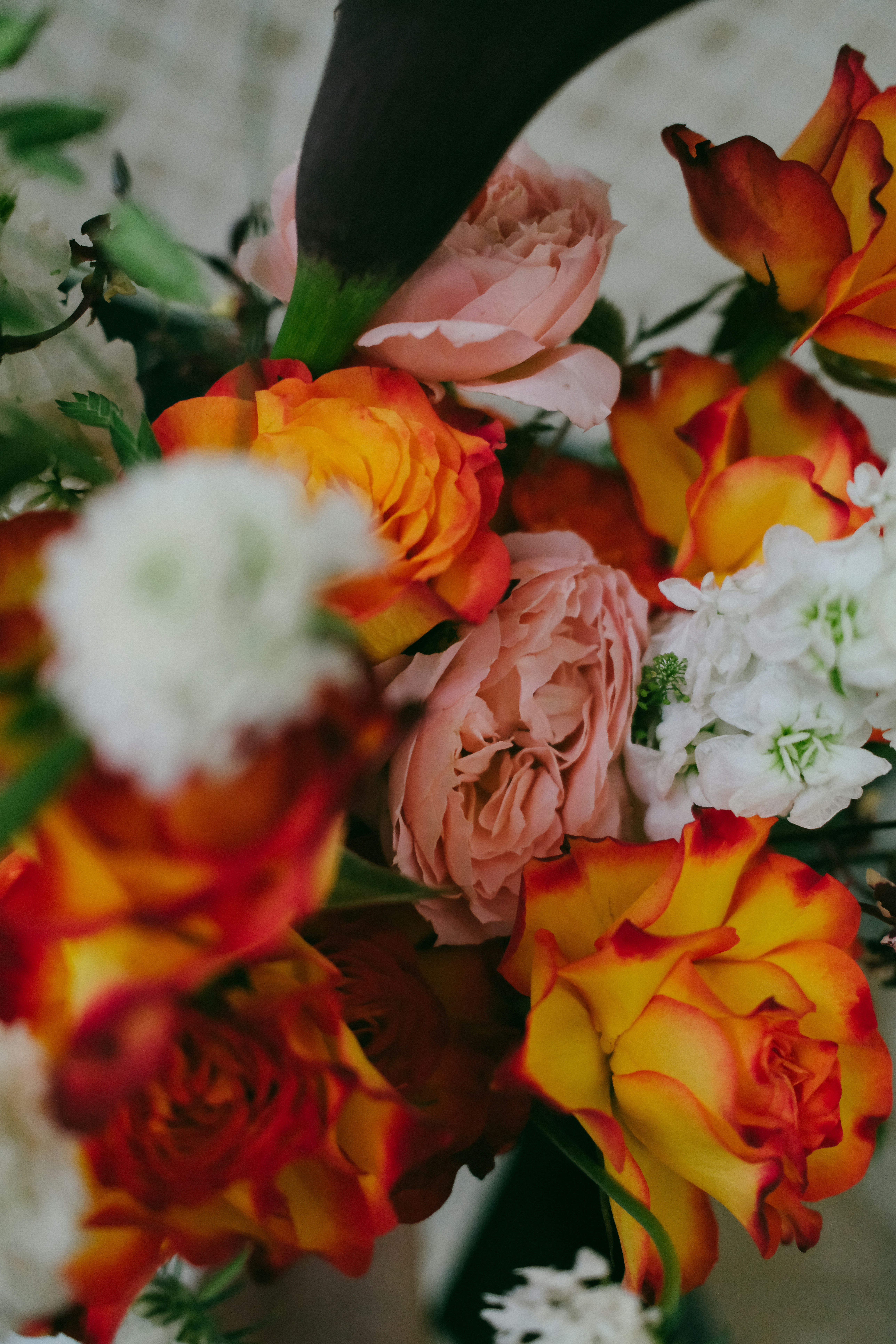 Photo by hoianphotographer