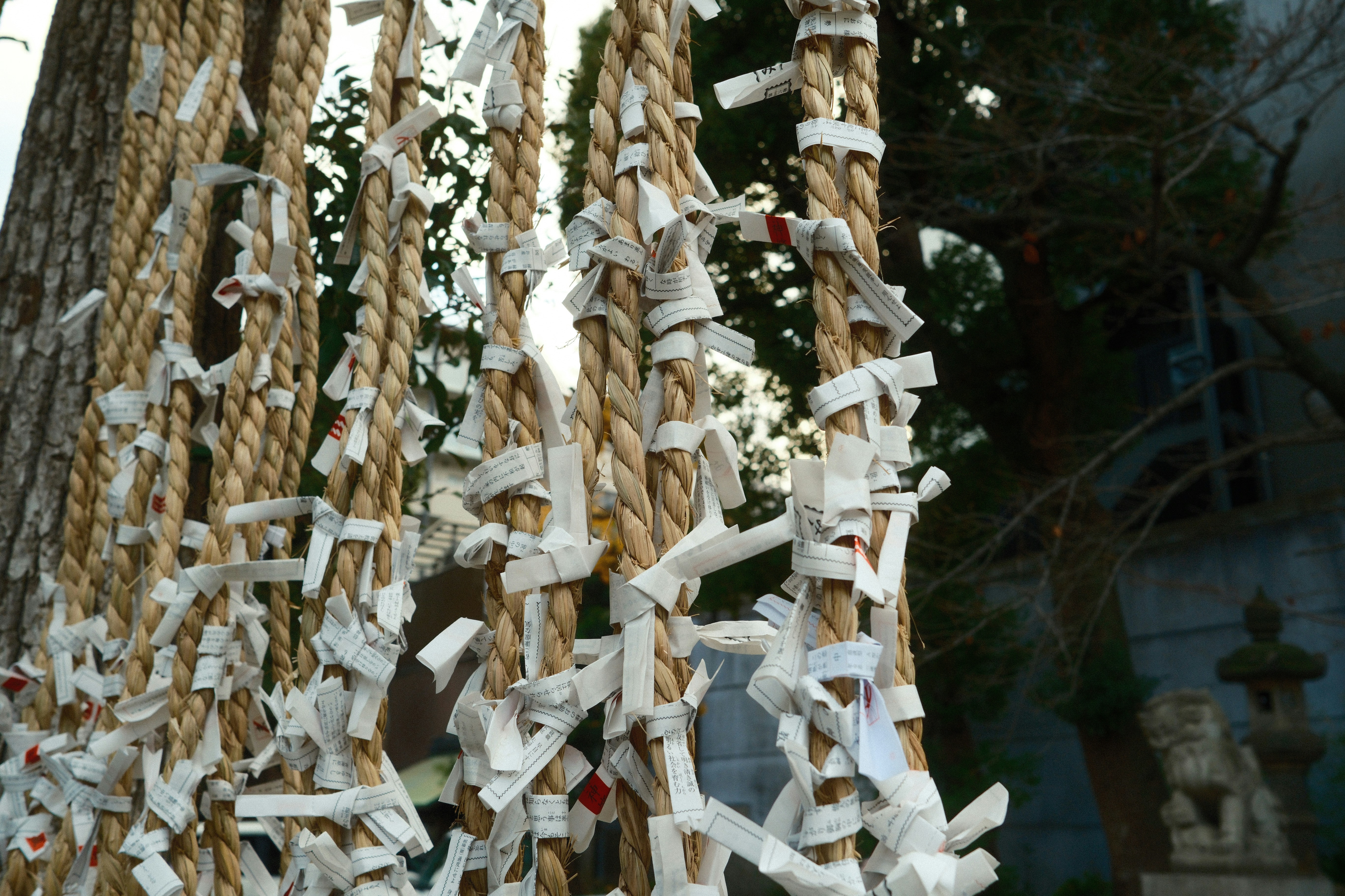 Introduction to the Minor Arcana Suits