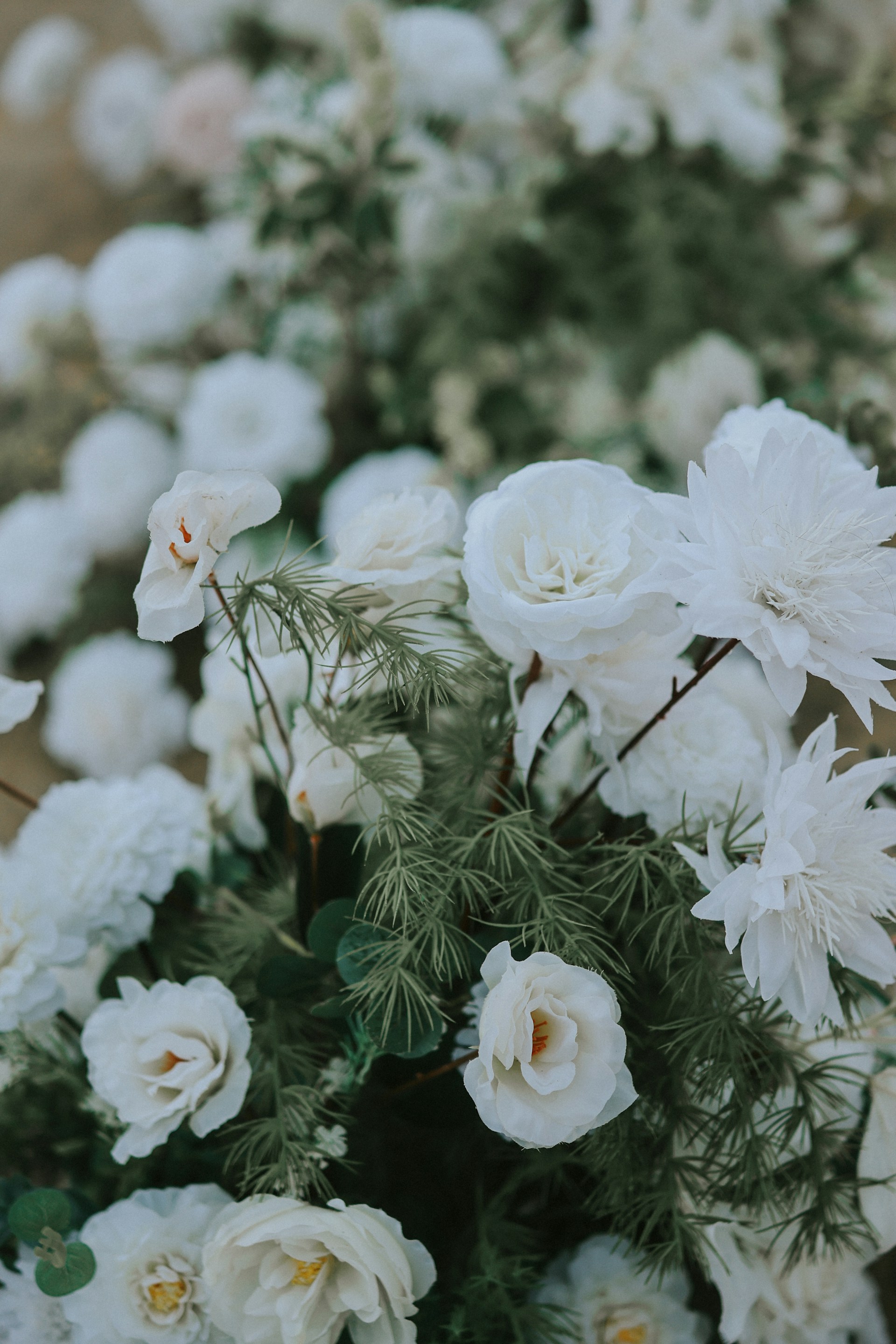 White roses and greenery arranged in a bouquet.