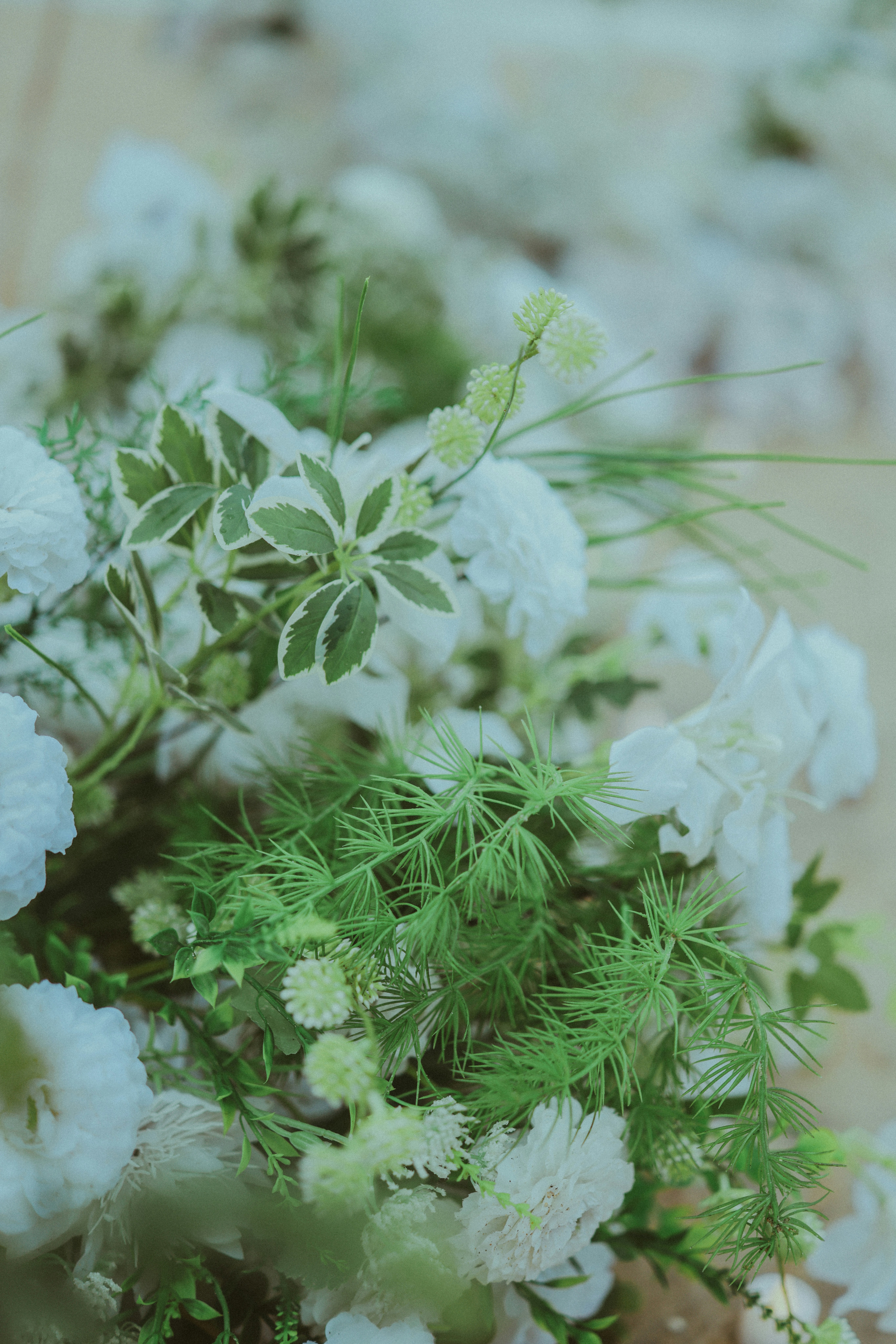 Photo by hoianphotographer