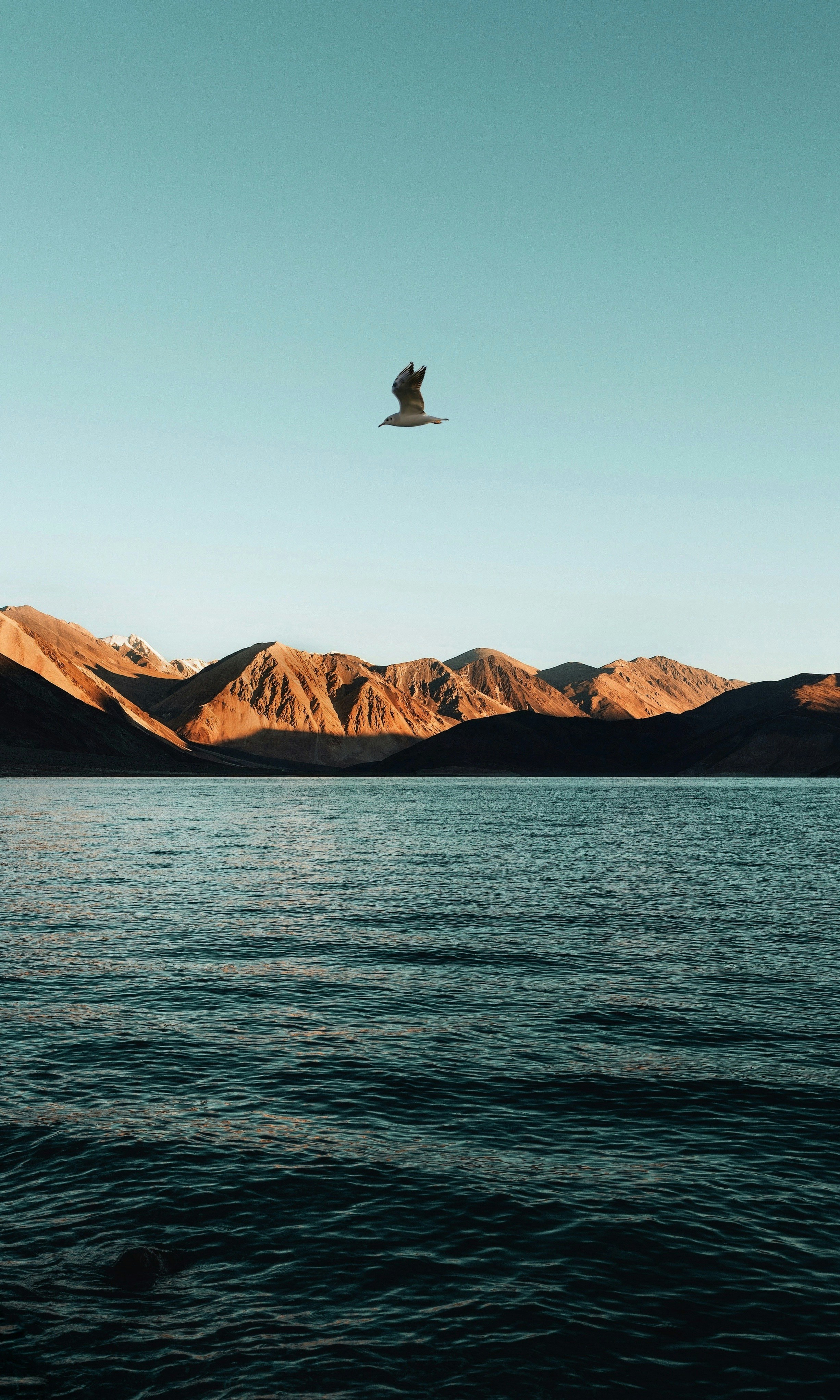 A bird flies over a vast lake with mountains.