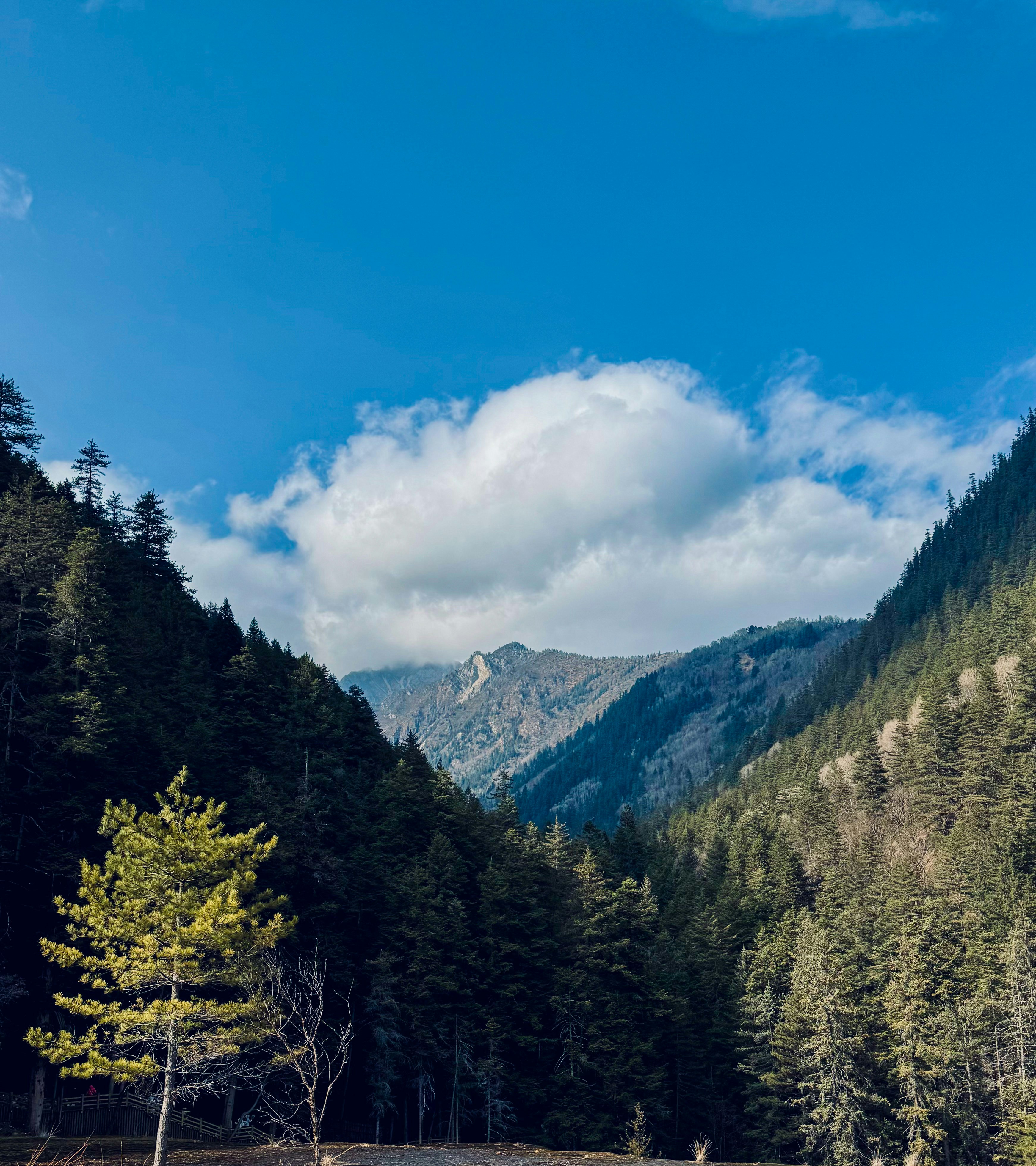 Photo by liewtography_robb