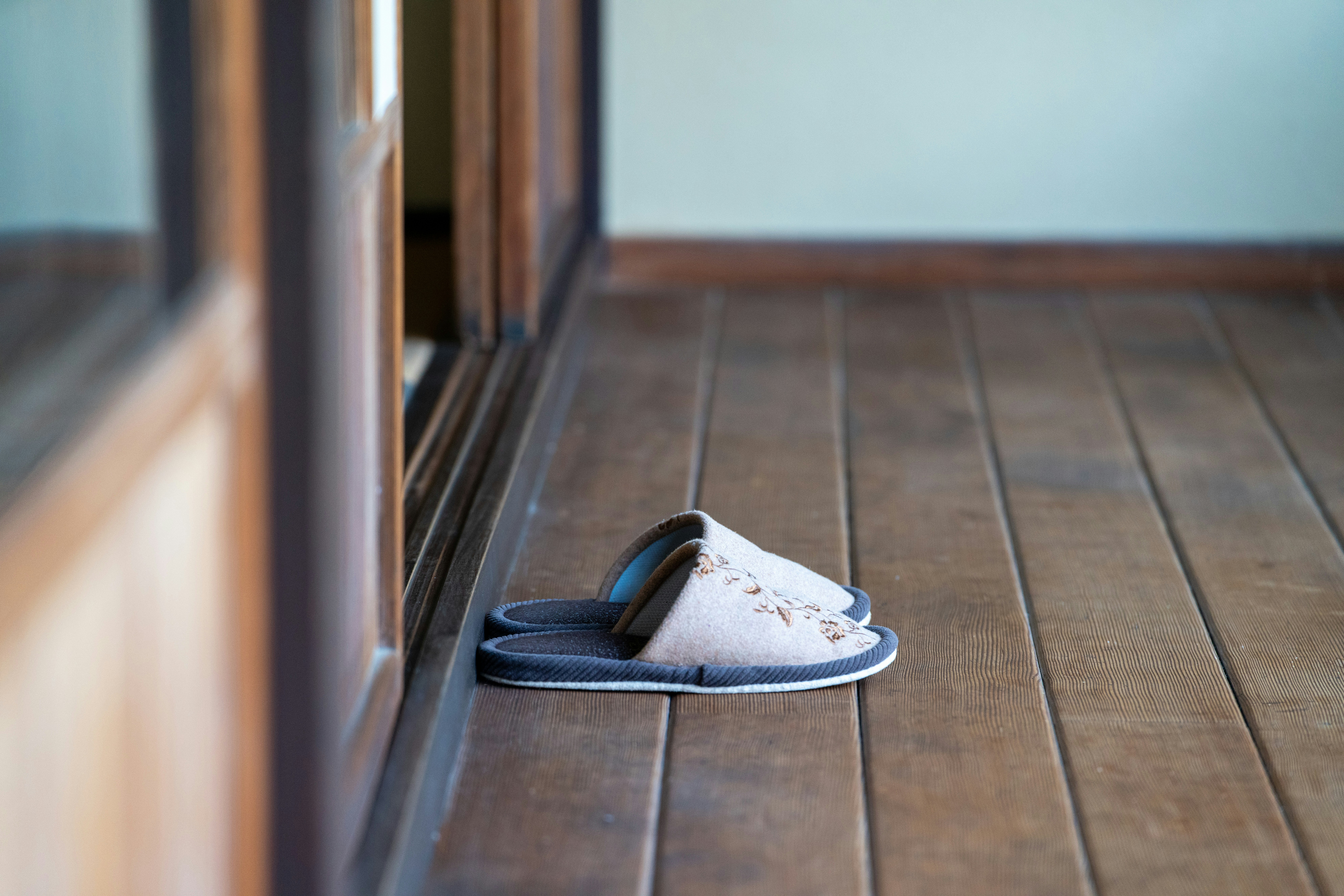 A single slipper rests on a wooden floor.