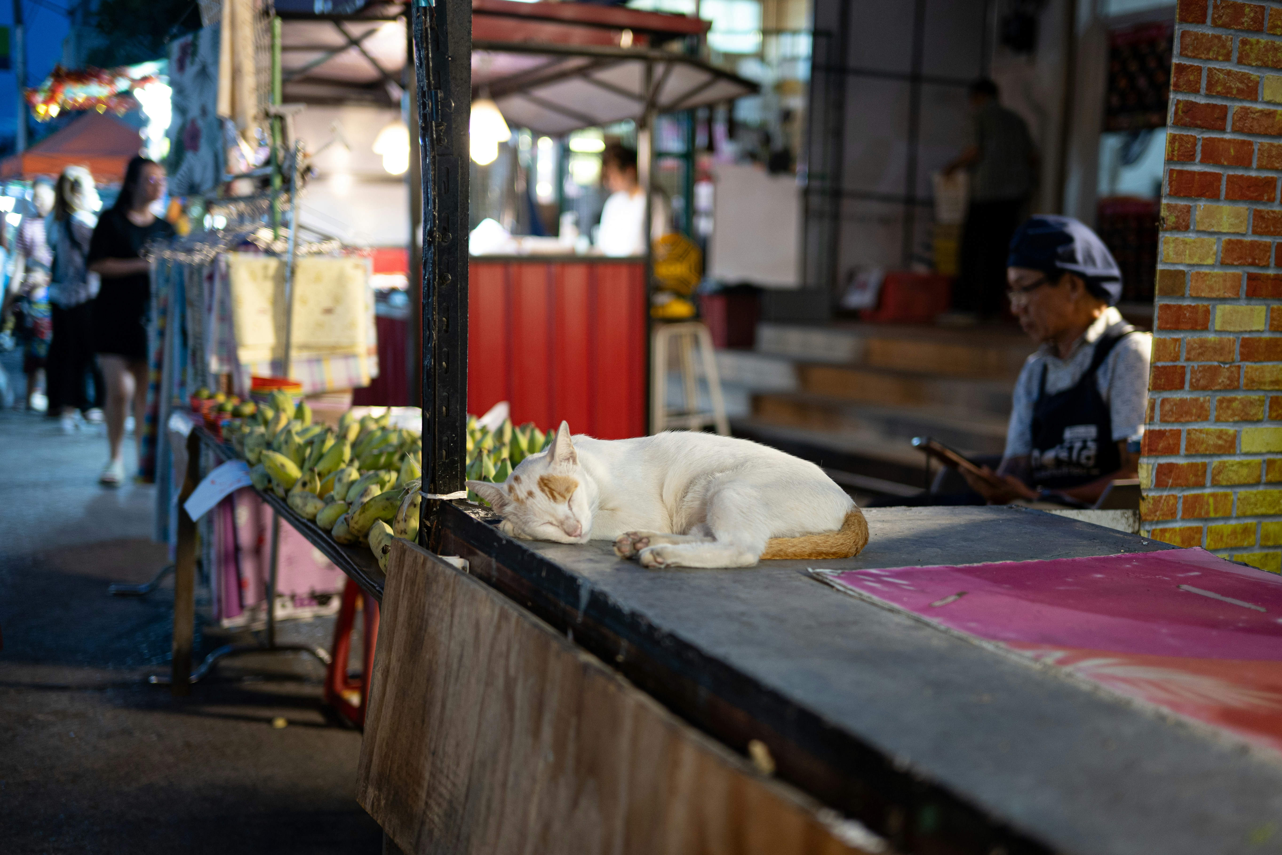 Smokey Cat Coffee Roaster