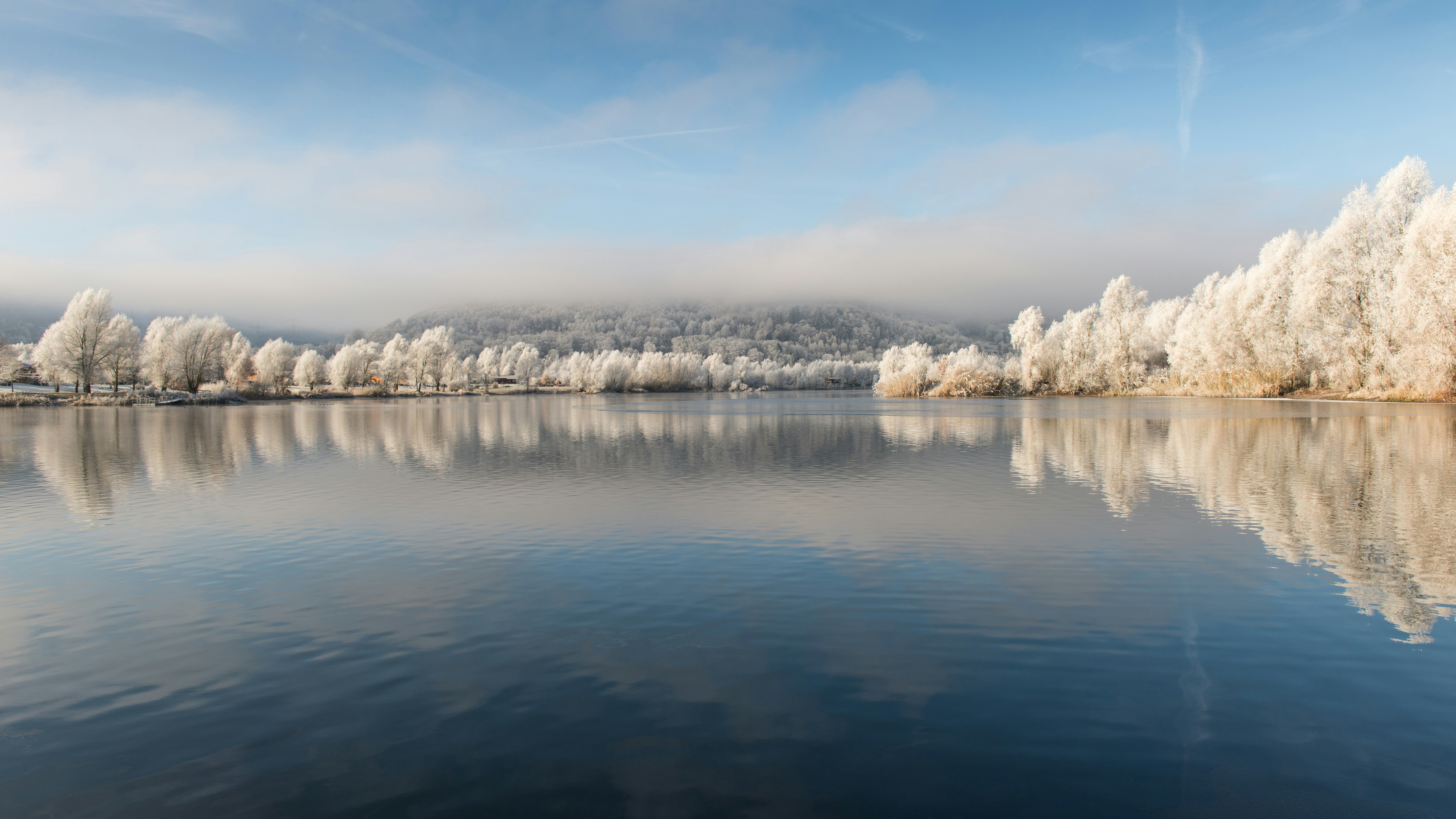 Frozen trees line a calm lake under a misty sky.