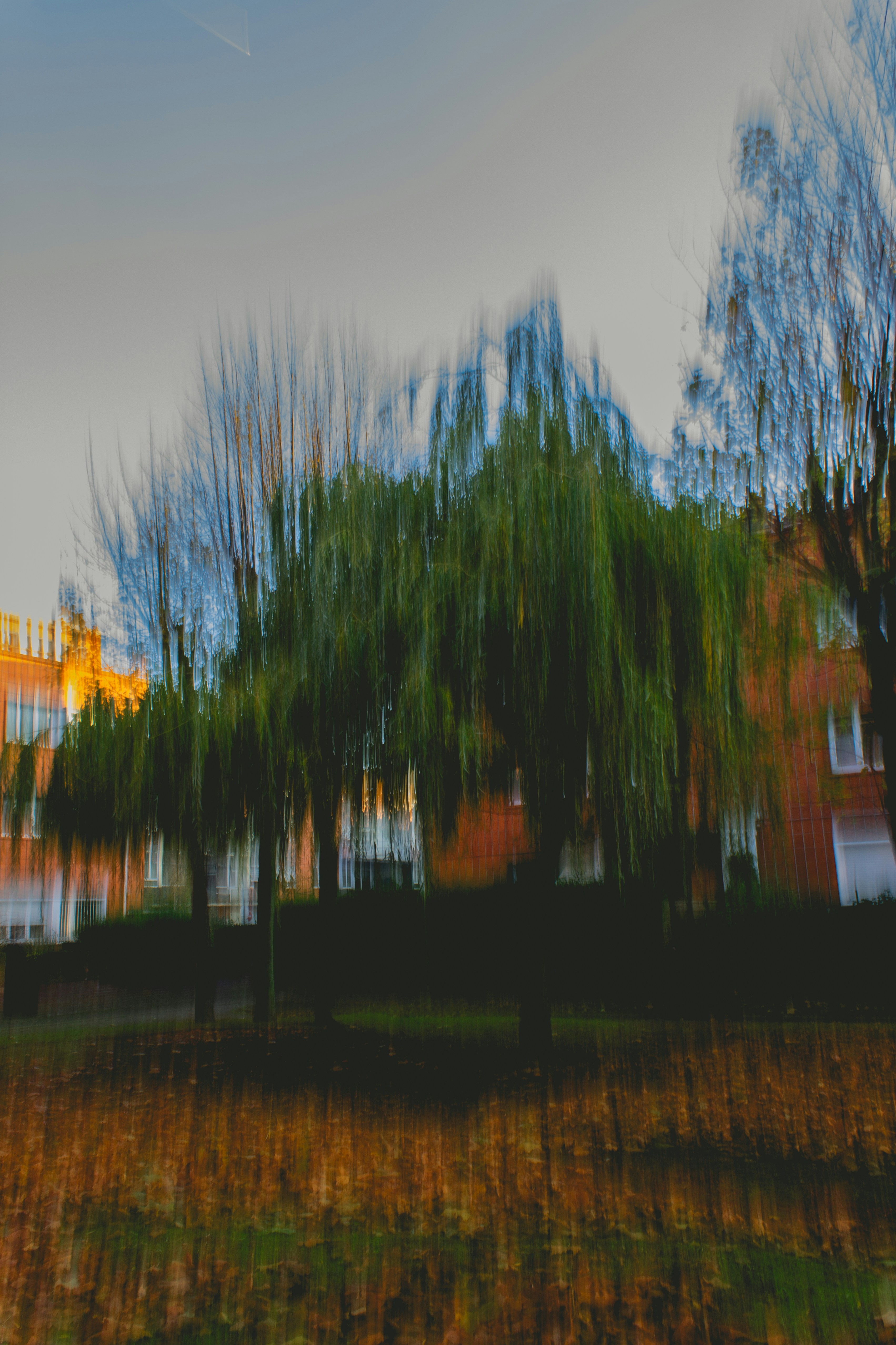 Arbres flous et bâtiments avec des feuilles d’automne au sol.