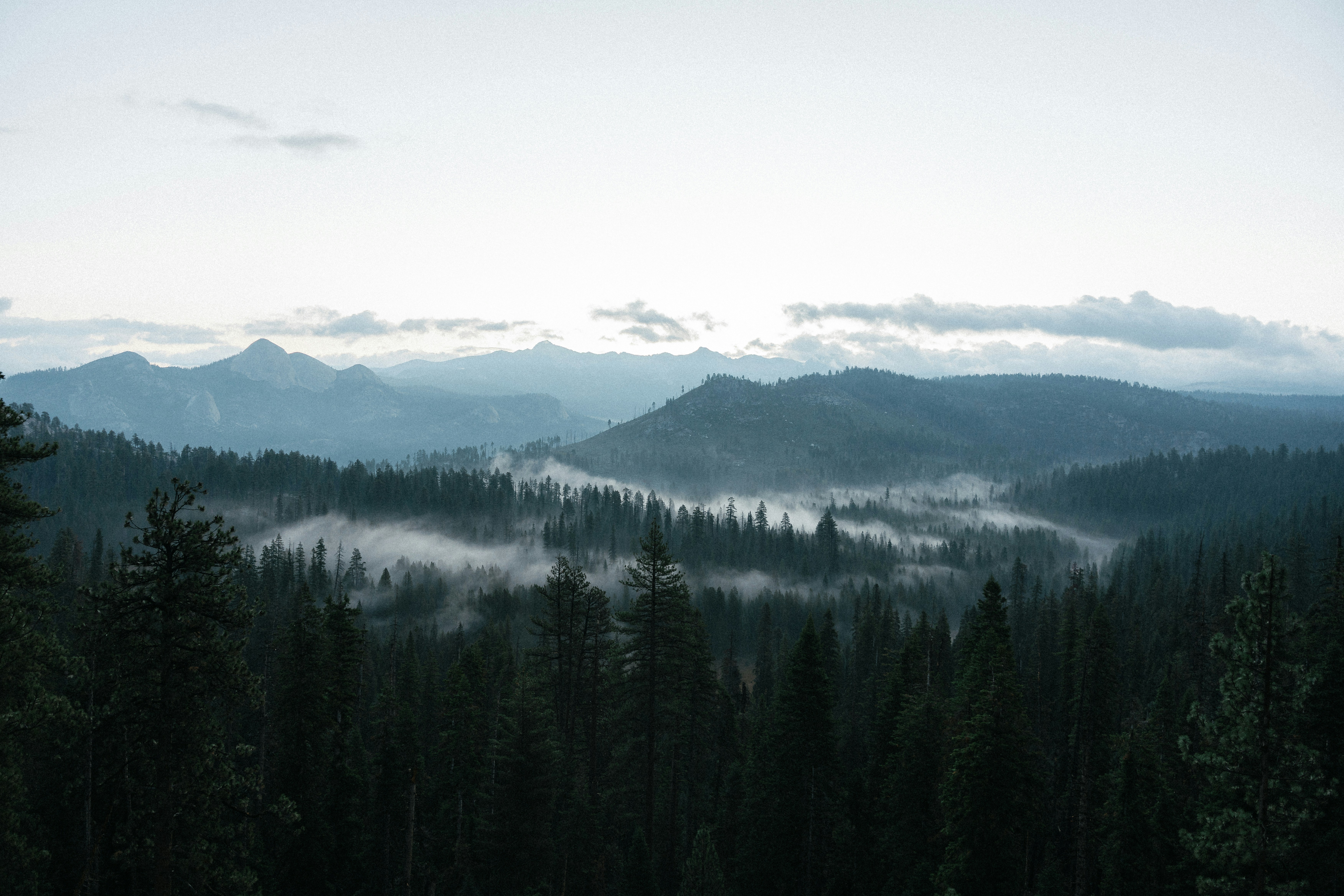 Simply How Do You Choose The Appropriate Refractive Surgery For Your One-Of-A-Kind Lifestyle? Discover The Essential Variables That Can Affect Your Choice