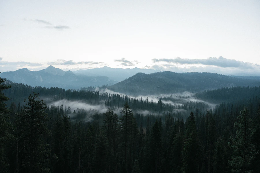 Mist settling over a forested mountain valley