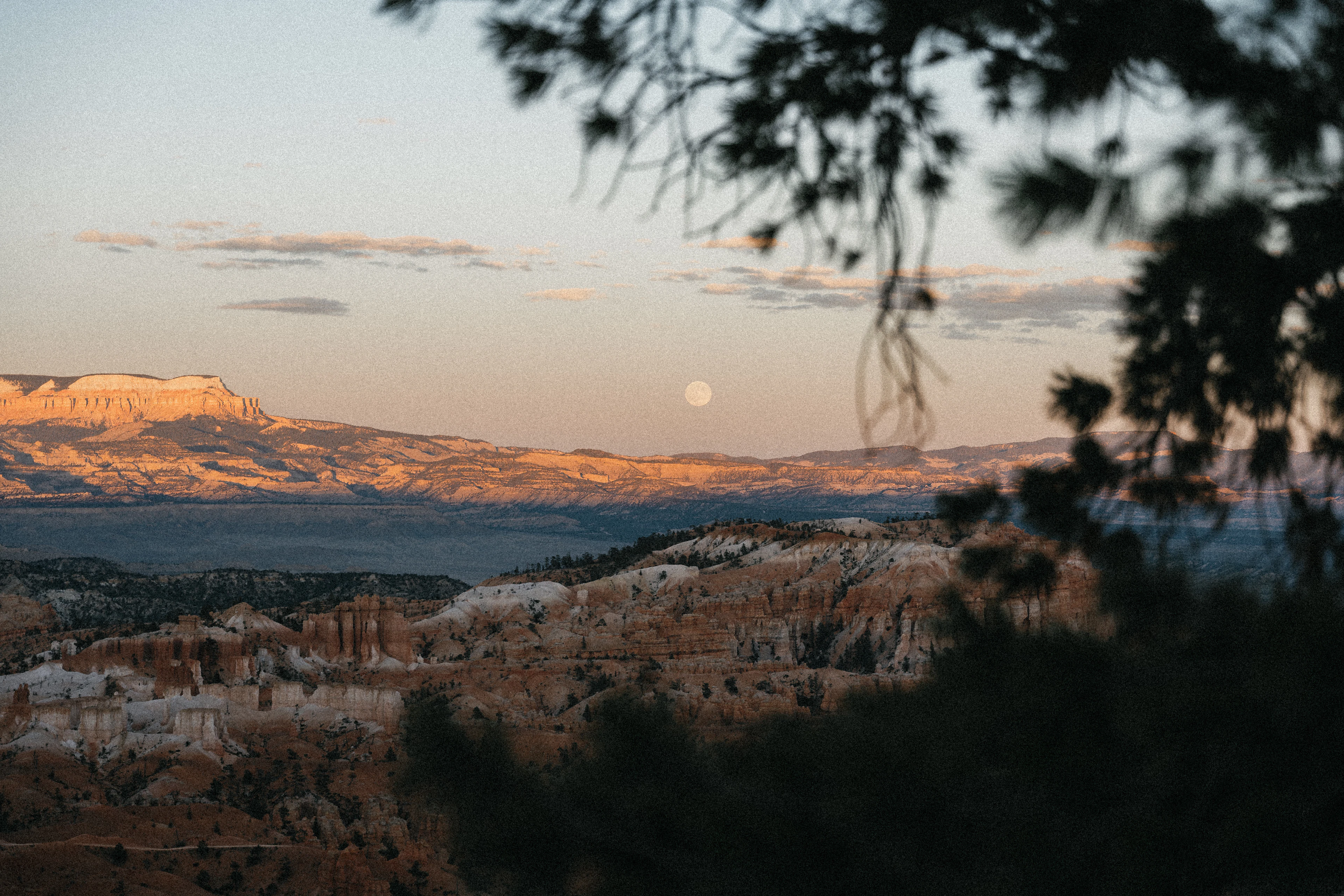 Canyon rock formations glowing red at dusk