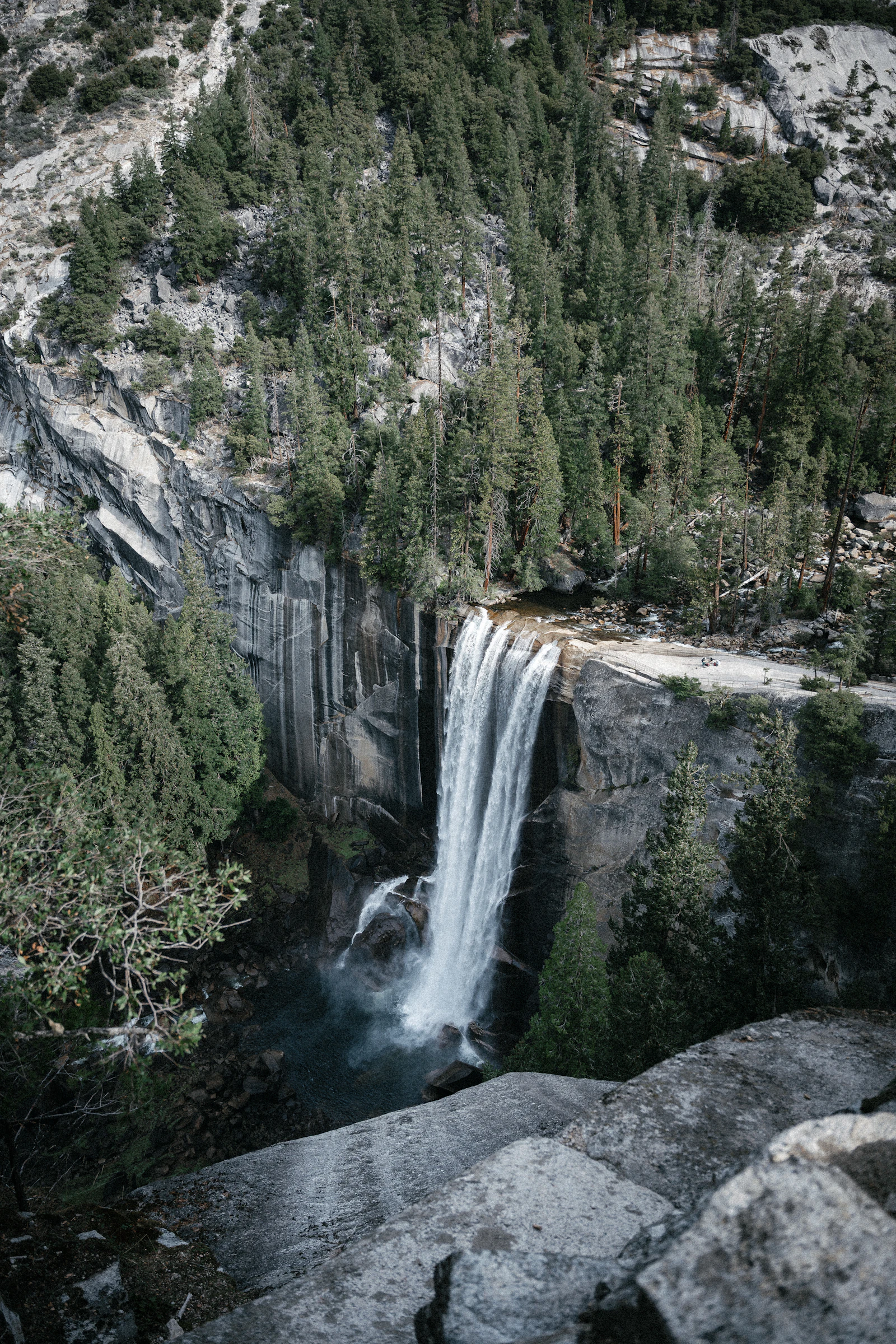 Cascade dévalant une falaise rocheuse entourée de sapins (image d'illustration)