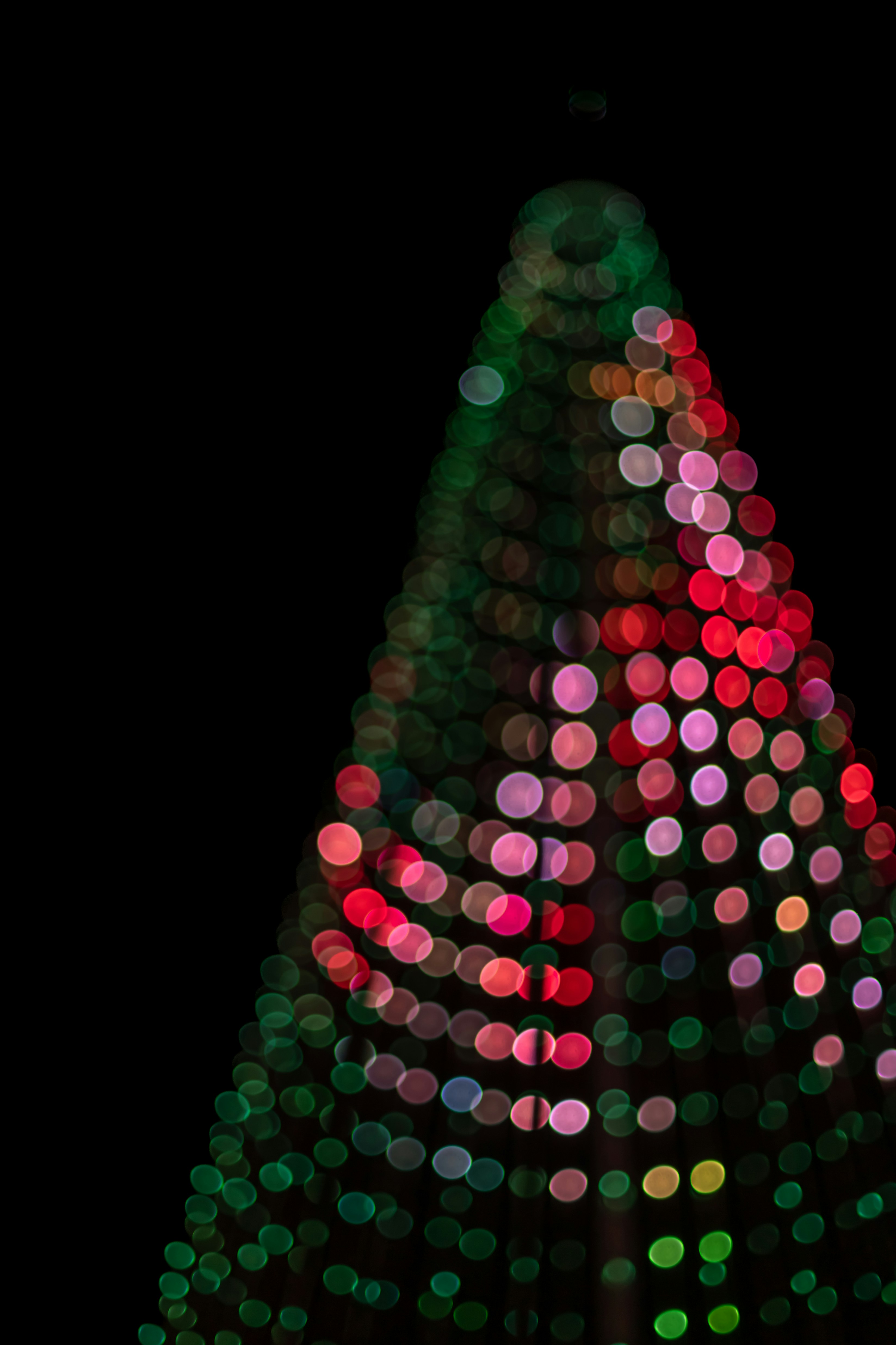 Blurred christmas tree lights in the dark