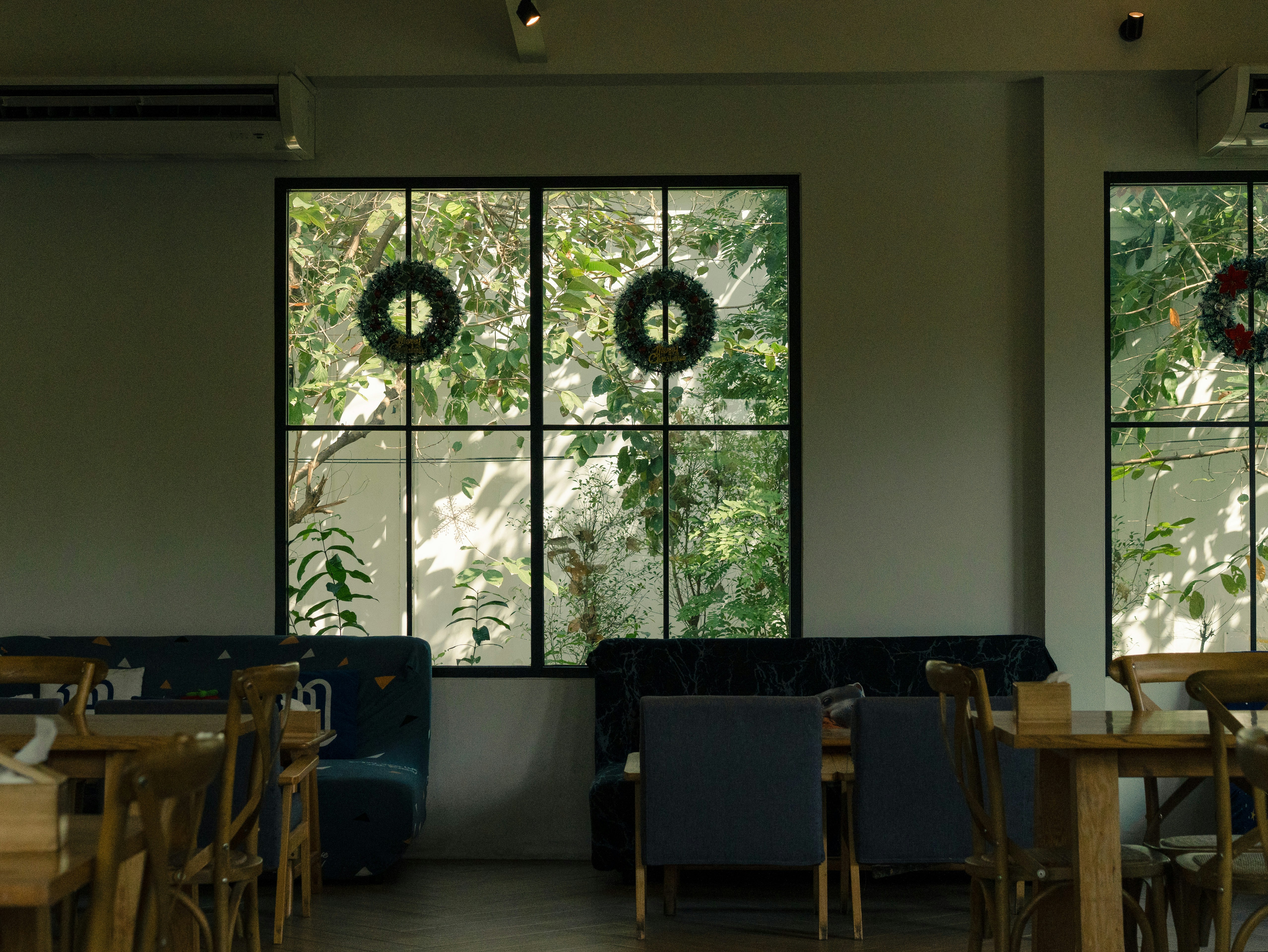 Cafe interior with large windows showing greenery