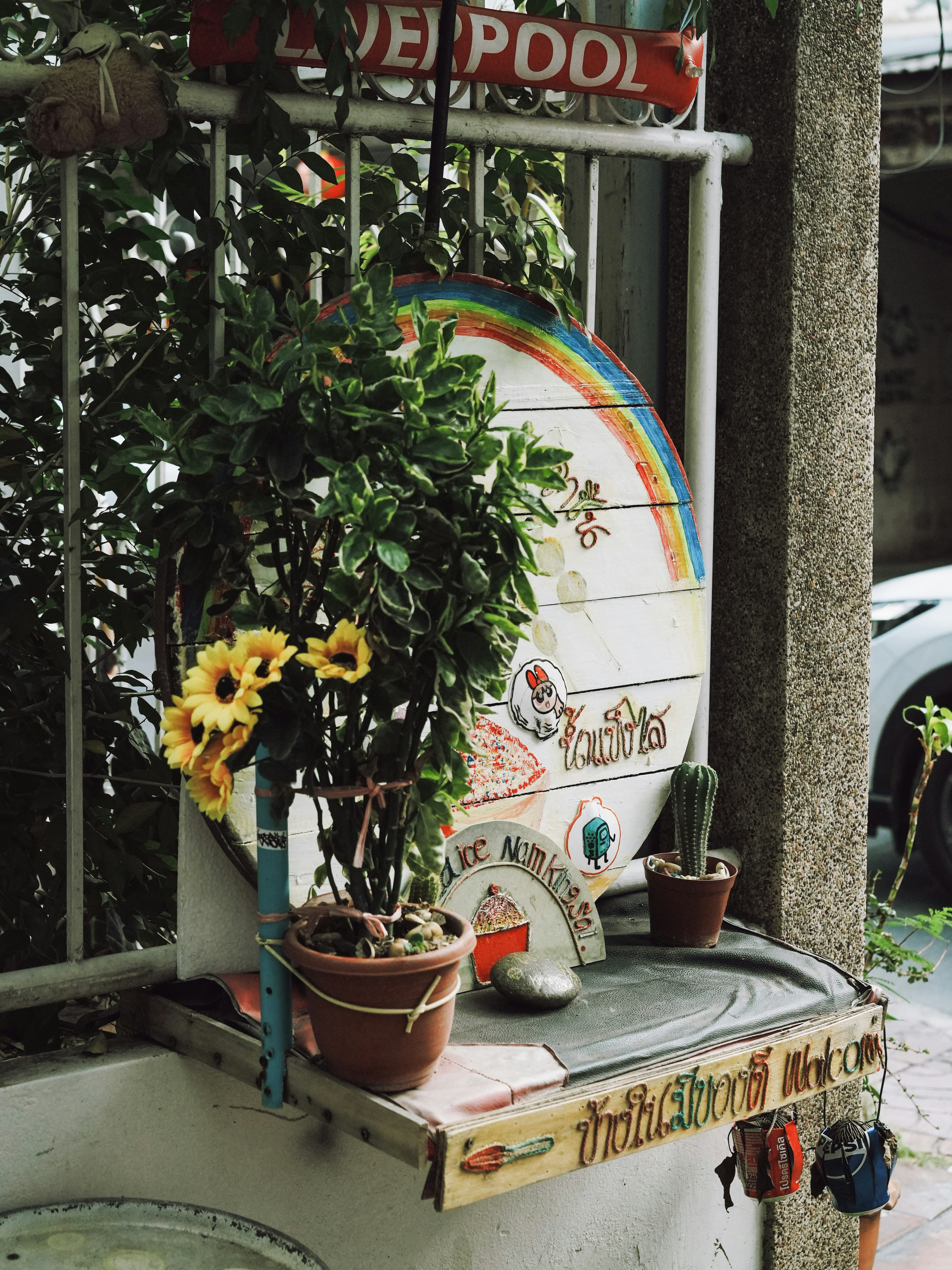 Außendekoration mit Pflanzen und Regenbogenkunst