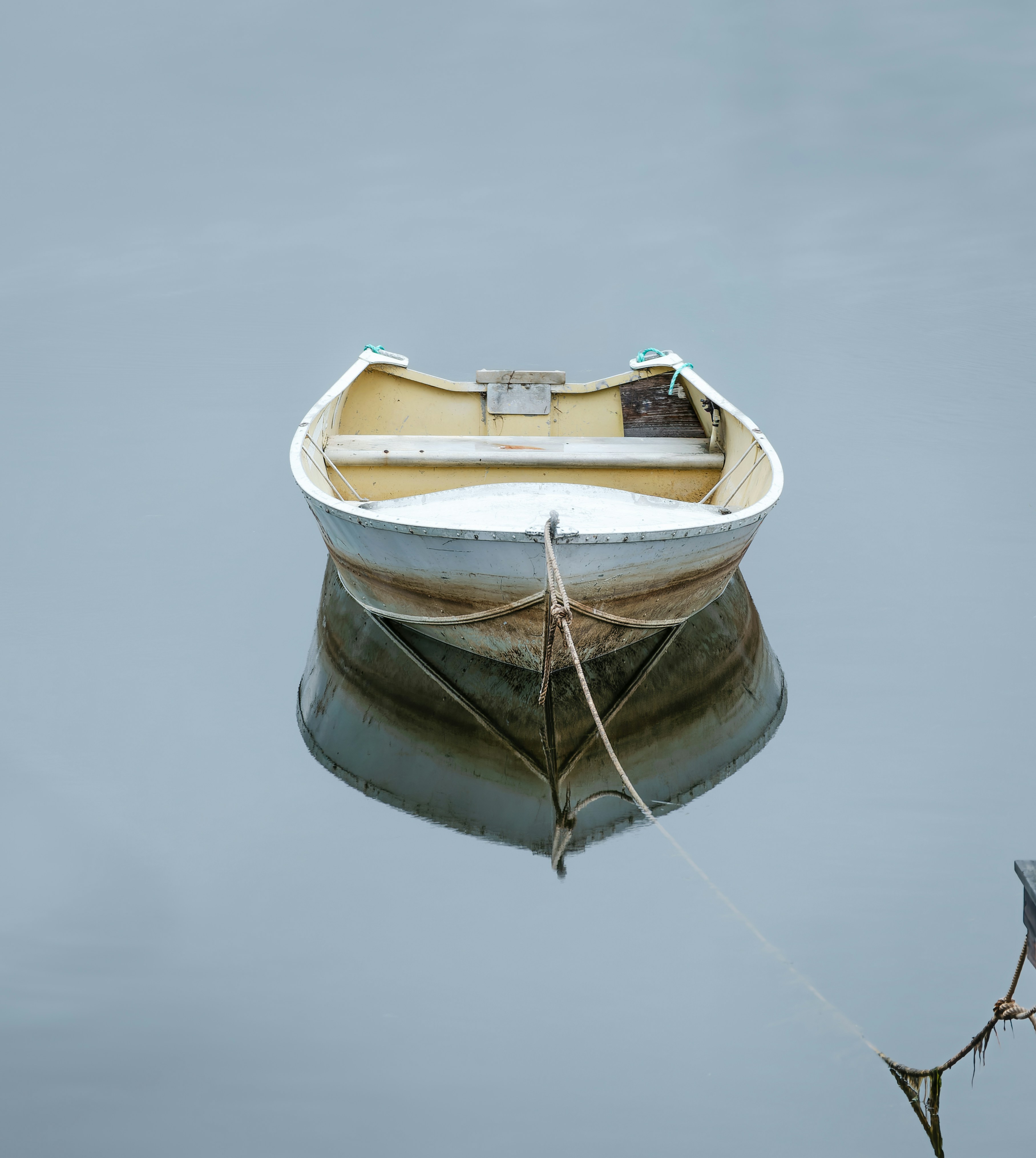 Photo by photoeightyeight