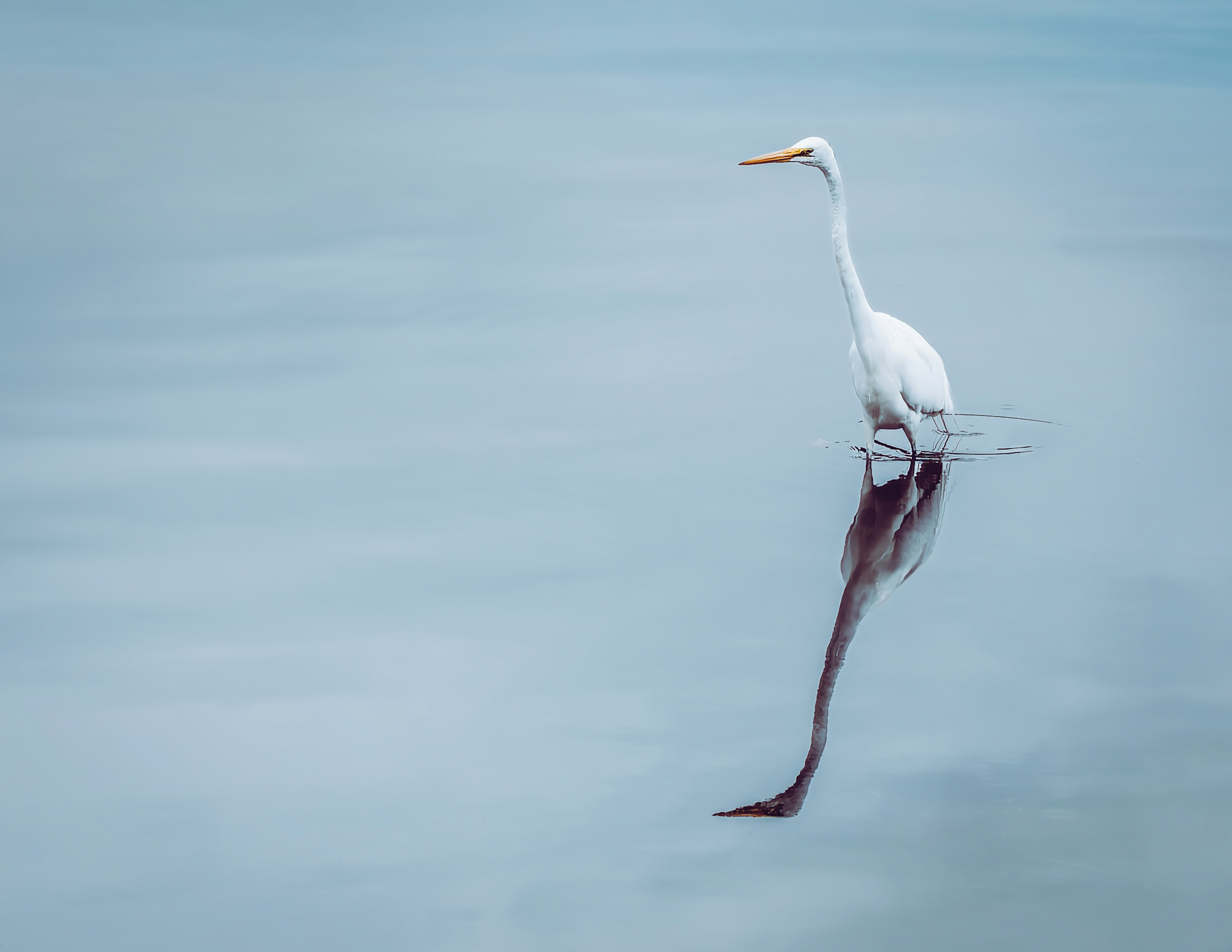 Photo by photoeightyeight