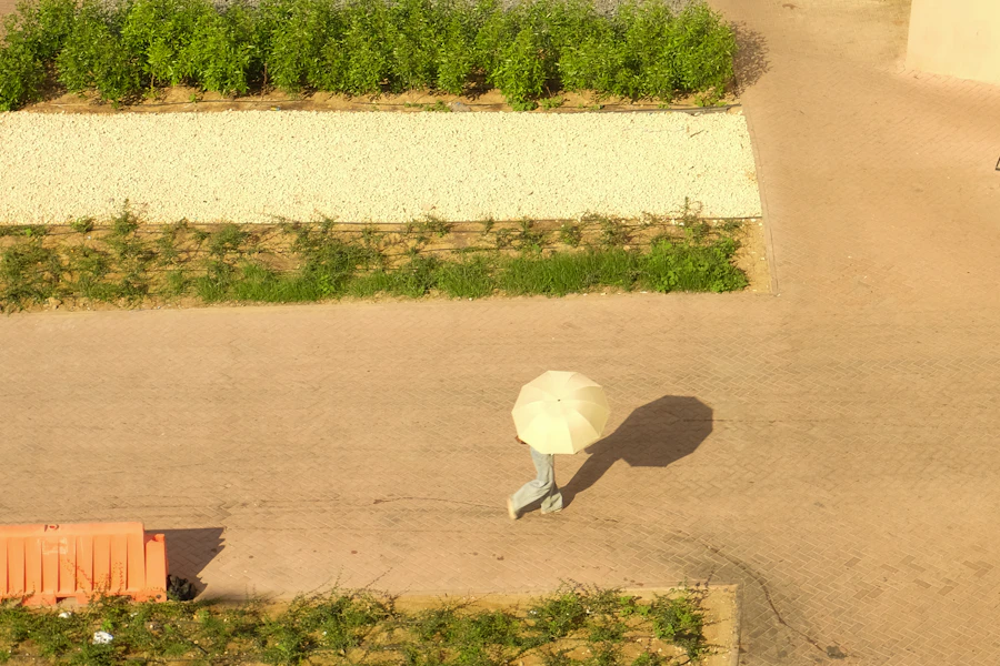 Person walks with umbrella on a sunny day.