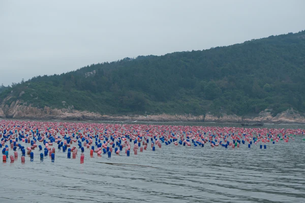 鳜鱼饲料化养殖入门完整指南