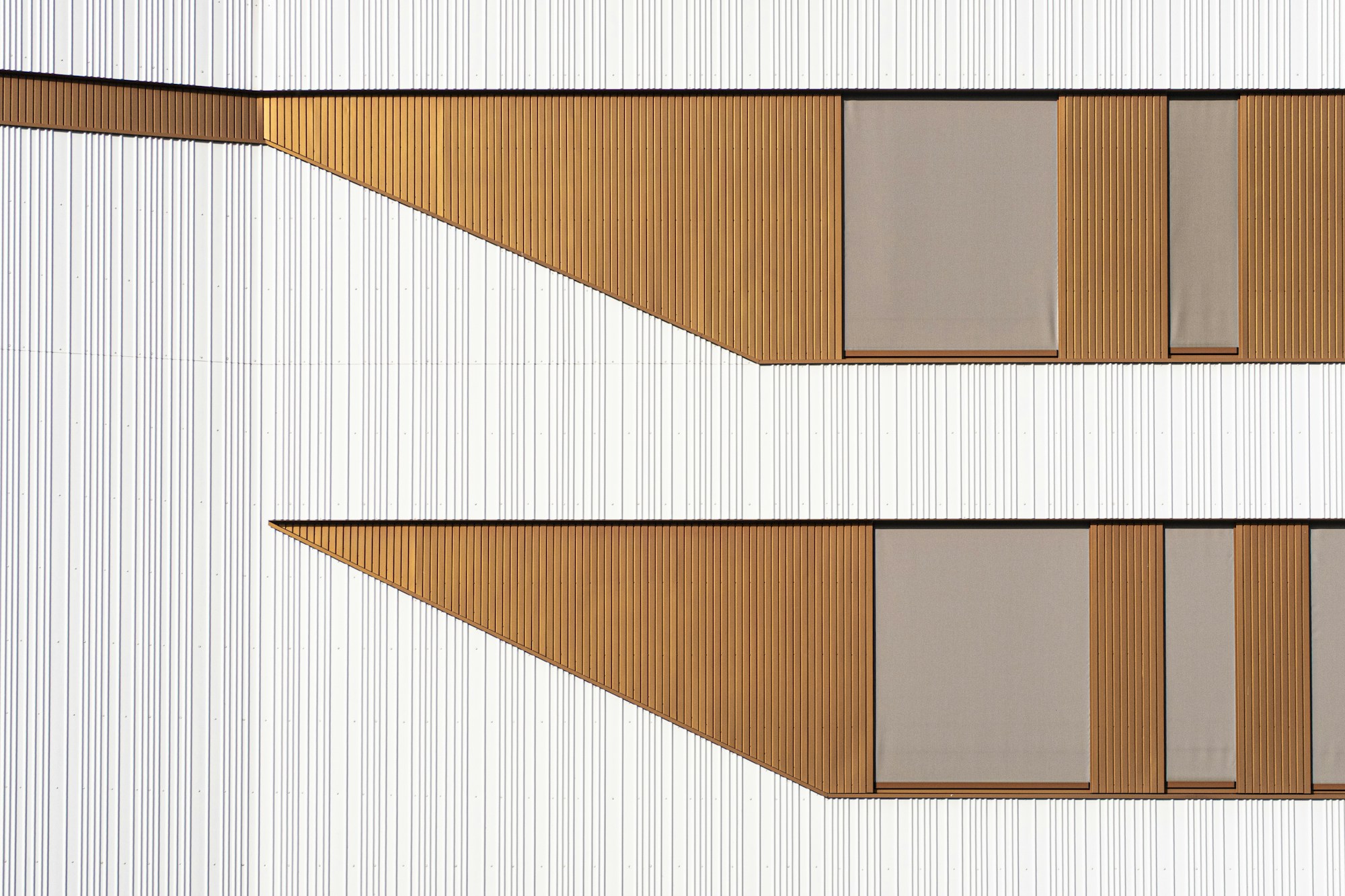 Photo by fertroulik on Unsplash