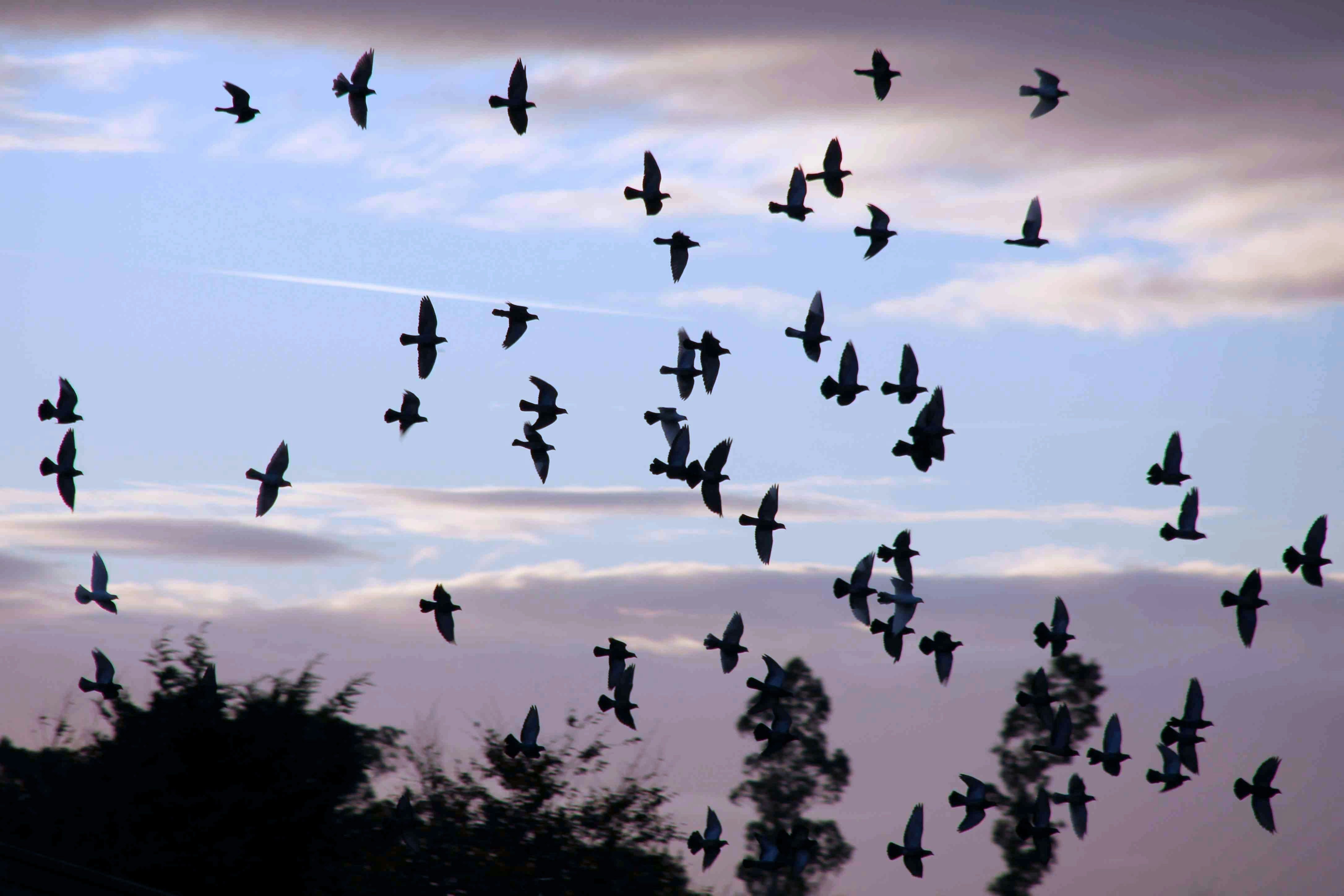 Photo by katerussell76