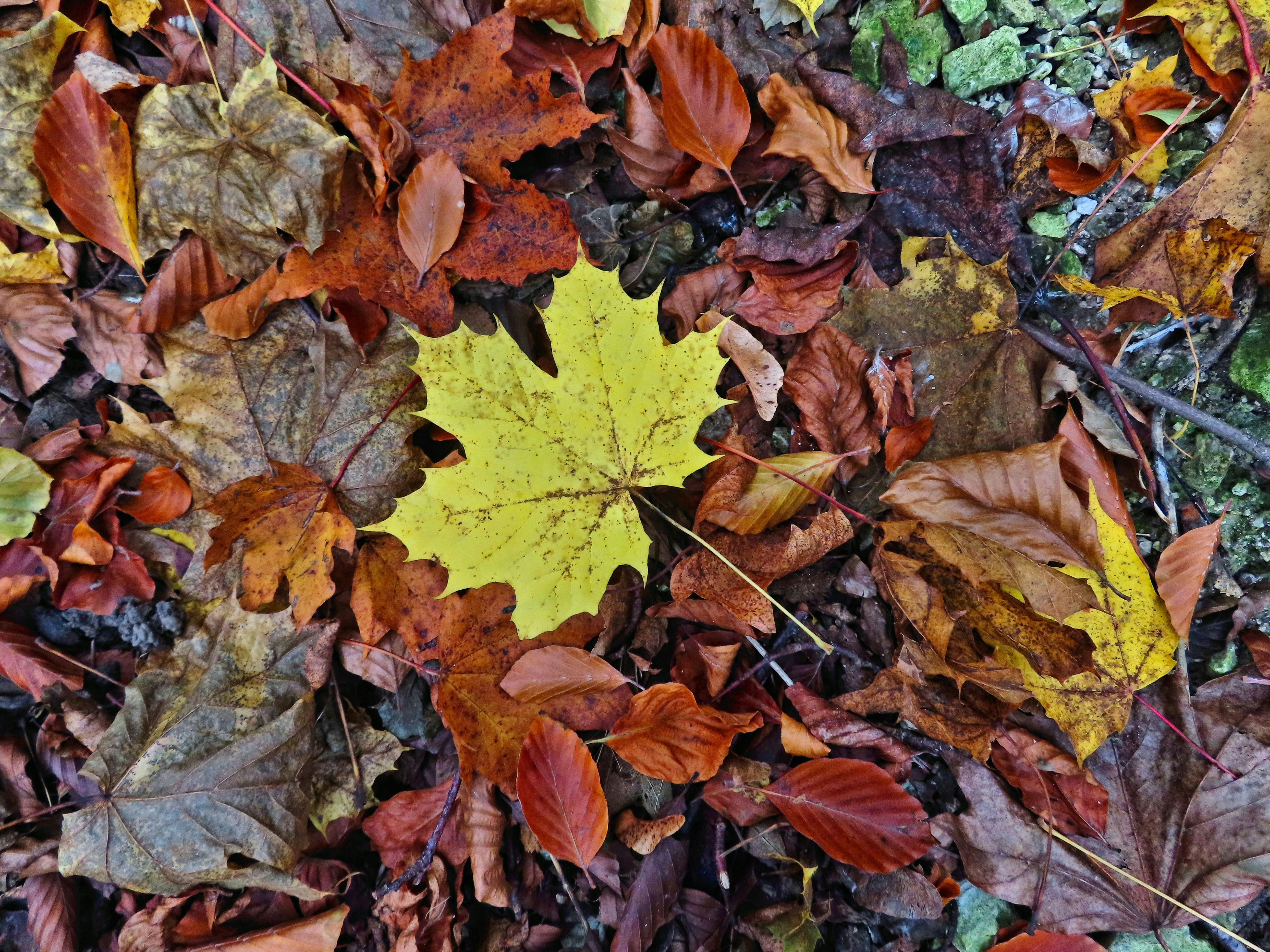 Photo by katerussell76