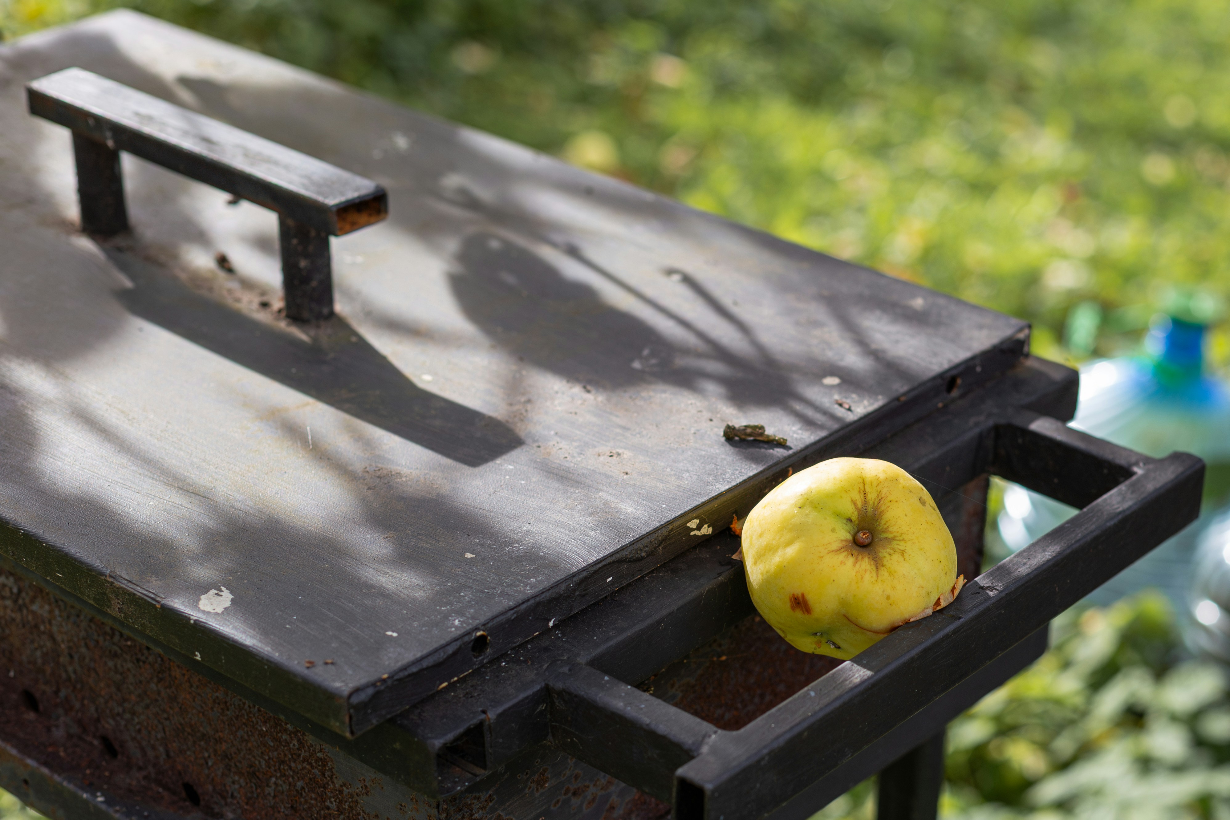 A yellow quince sits on a metal grill.