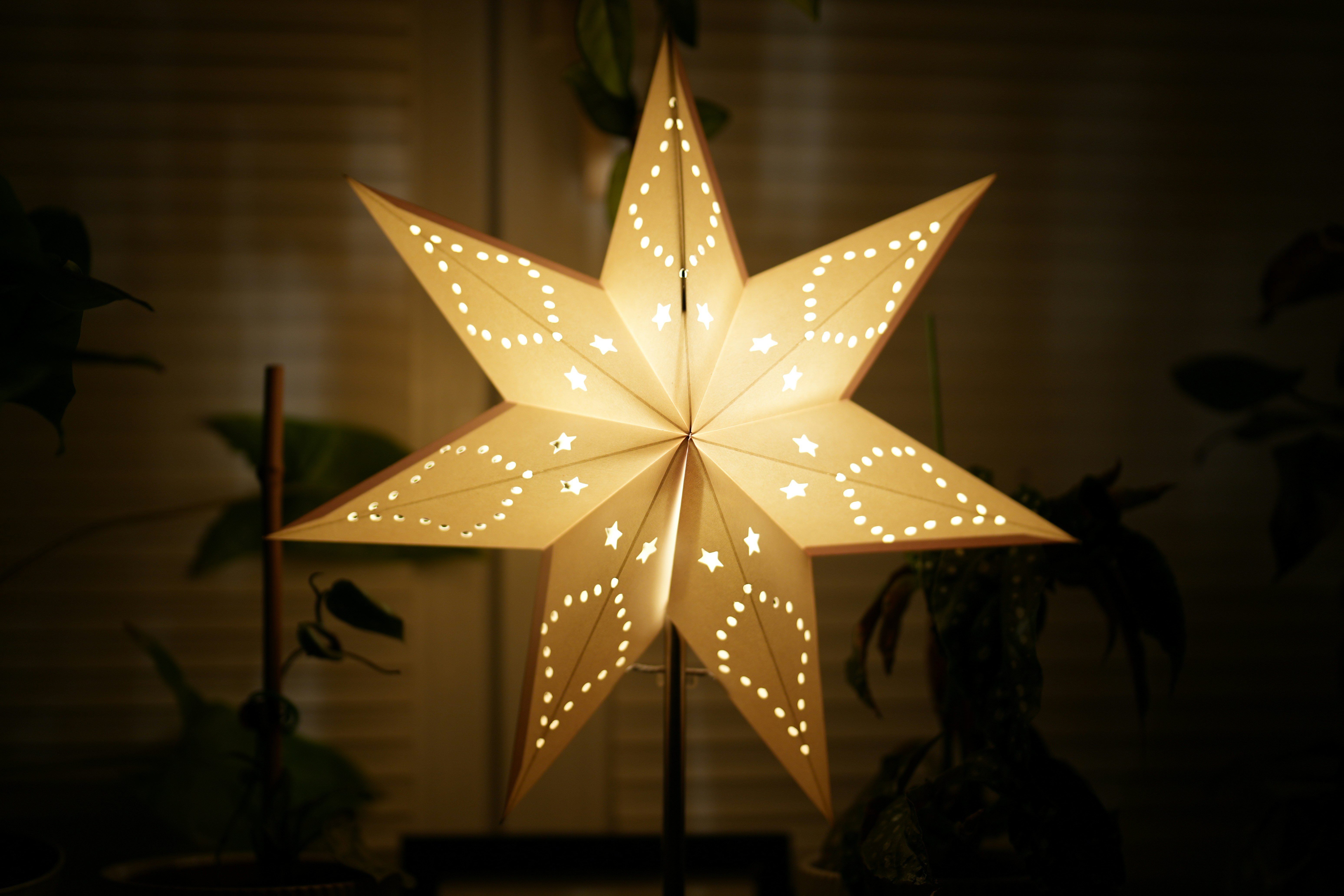 A lit paper star lantern with decorative cutouts.