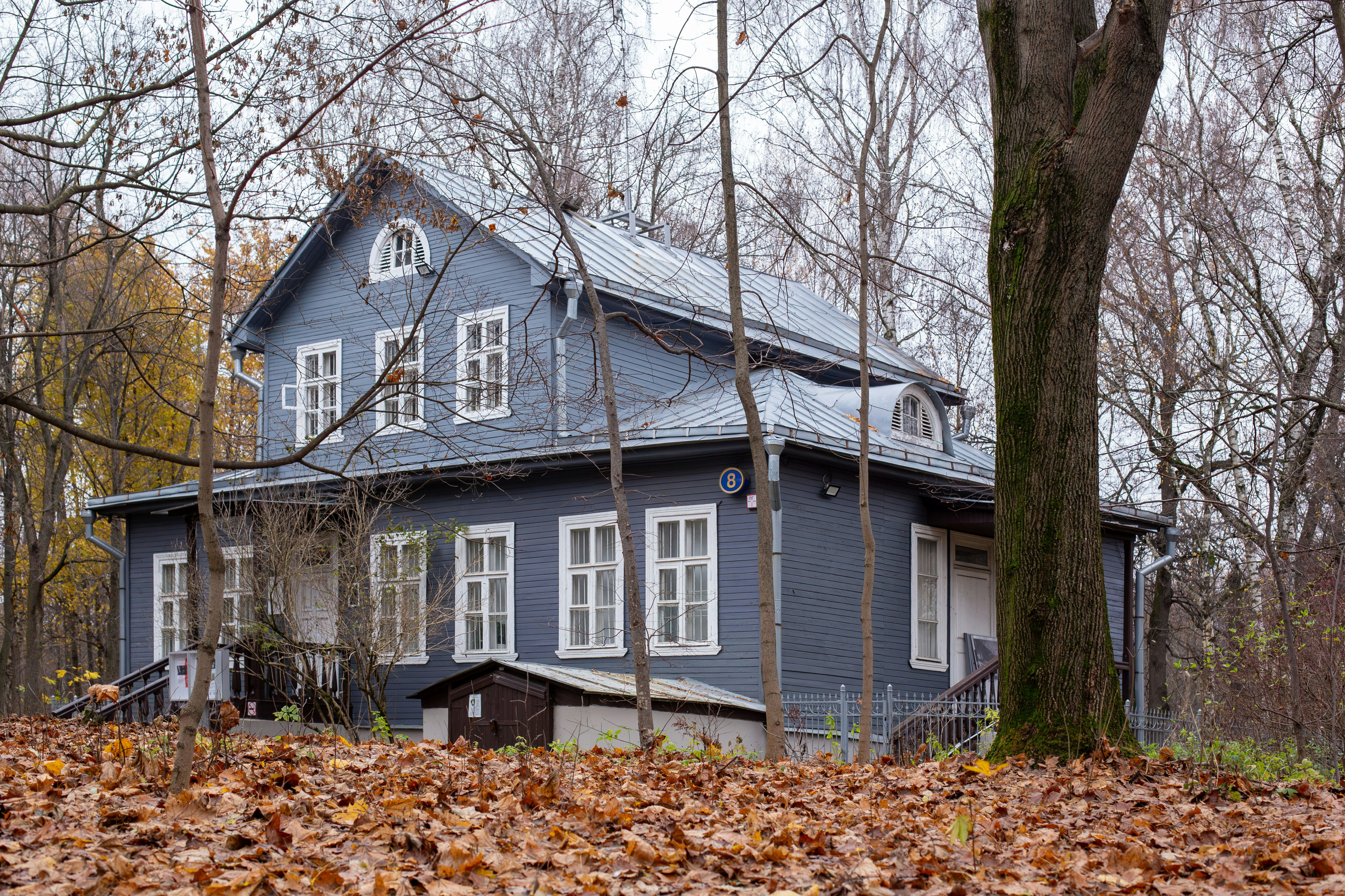 A grey wooden house surrounded by autumn trees
