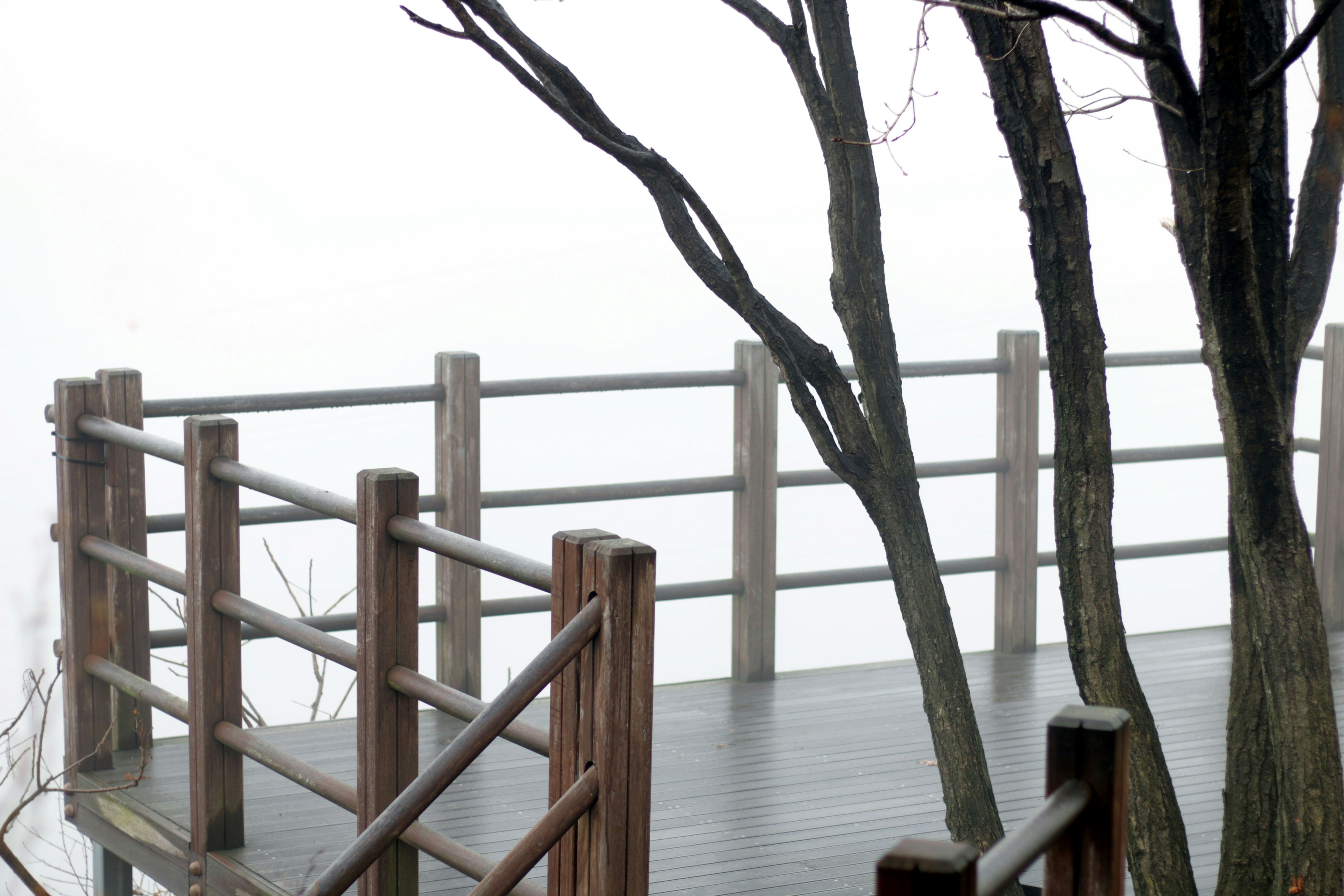 Wooden deck and railing in foggy weather