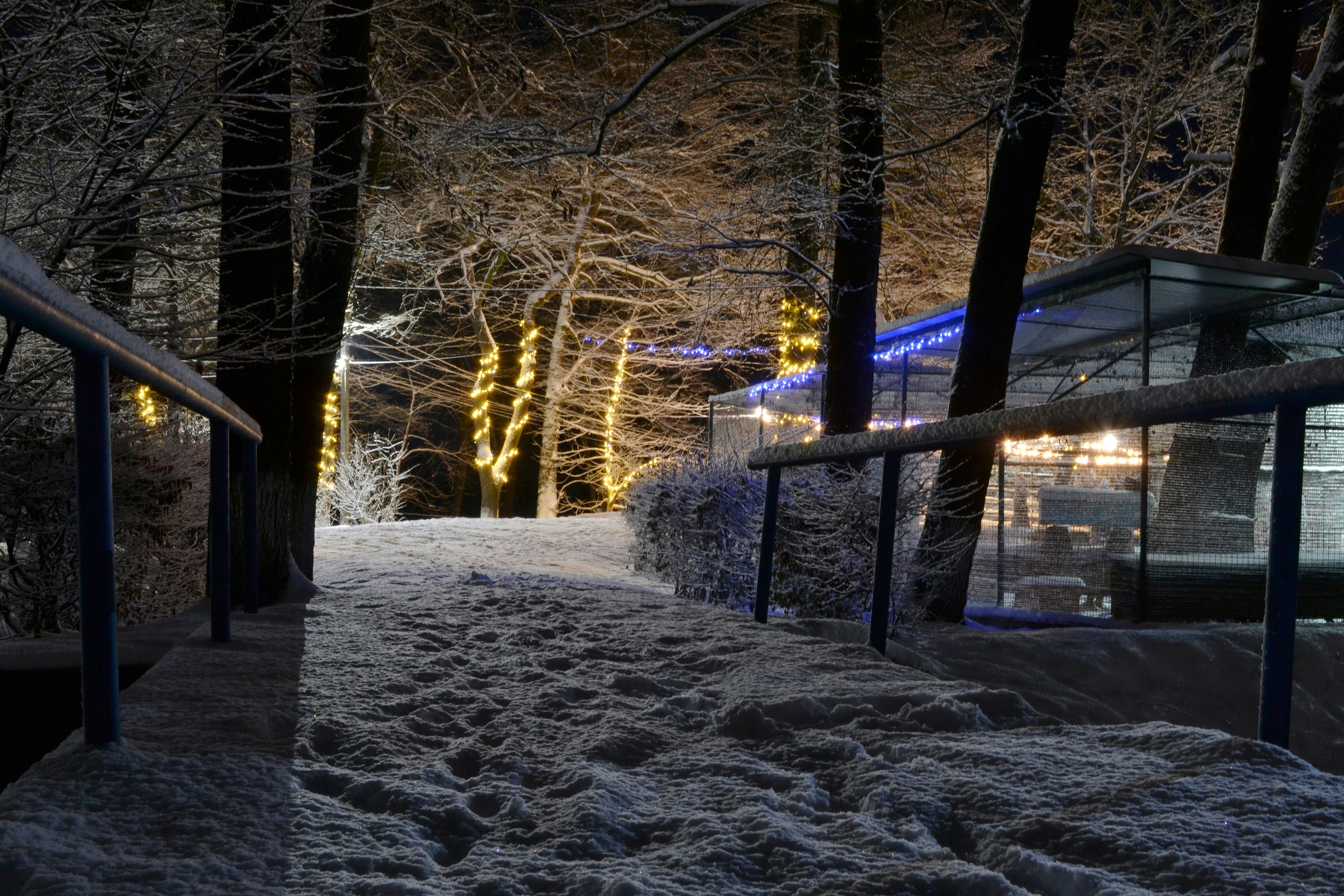 winter night landscape, wallpaper, Stay Warm Without a Fire: Nighttime Heat Solutions 6