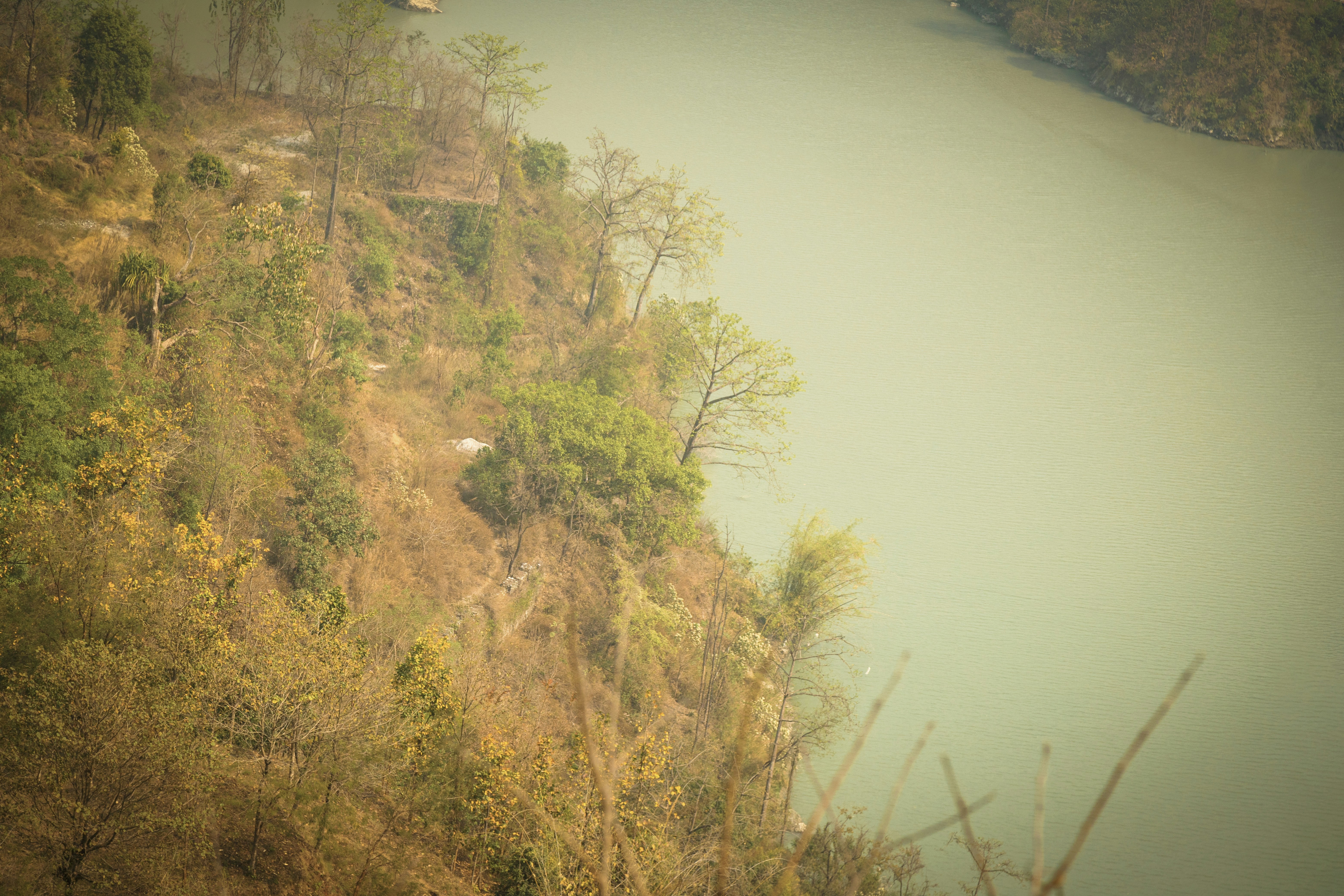 A river flowing past a wooded hillside