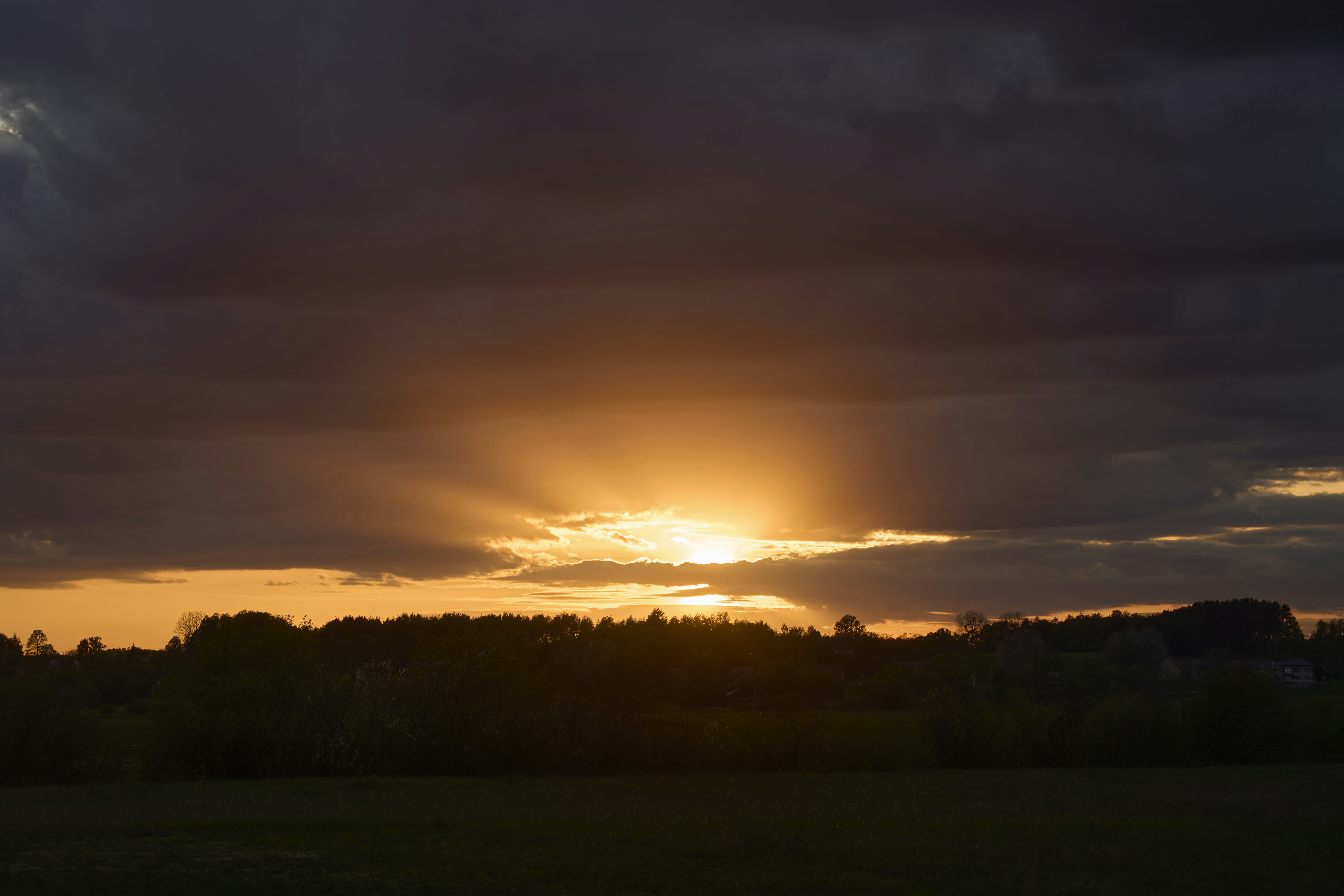 Photo by wolfgang_hasselmann