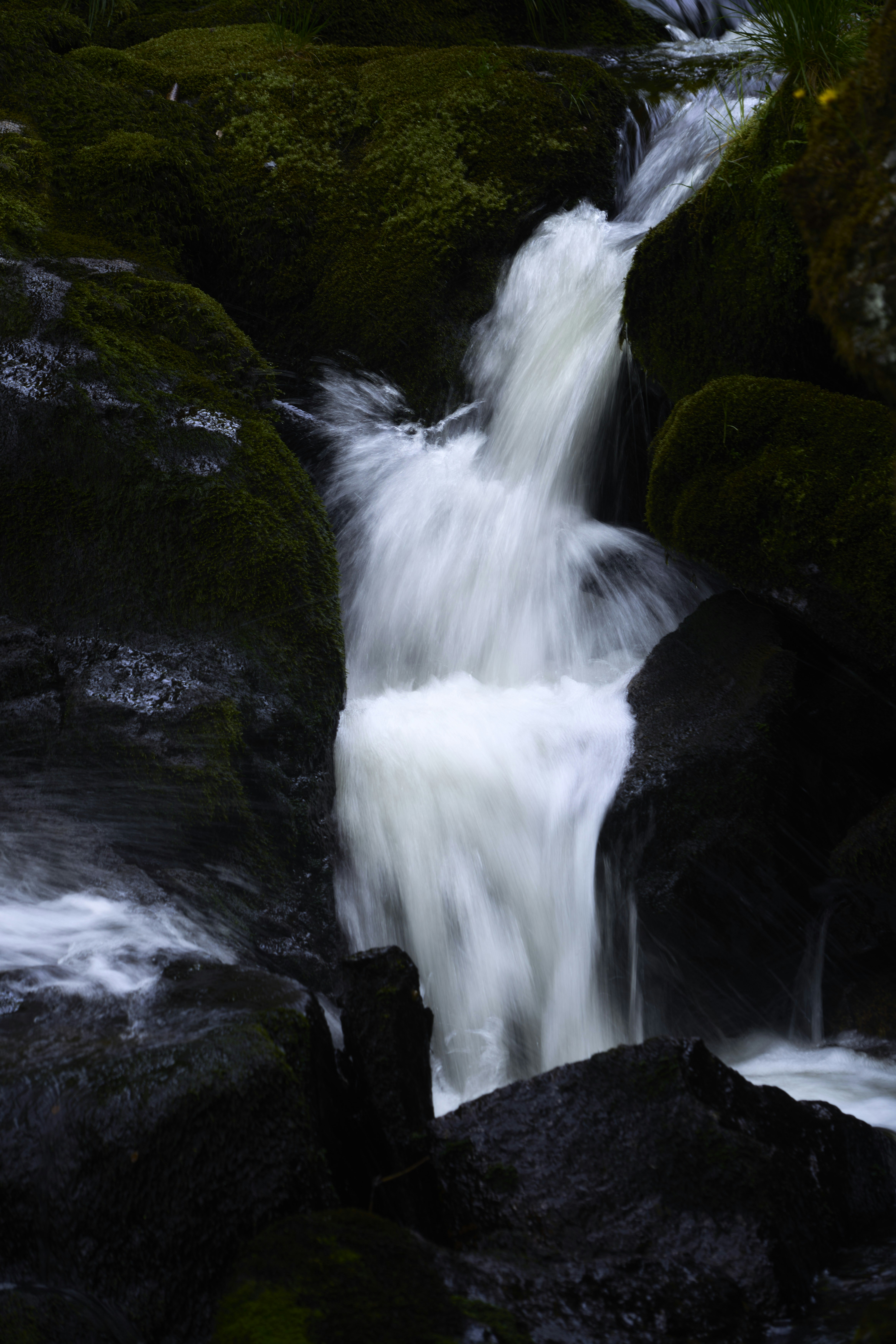 Photo by wolfgang_hasselmann