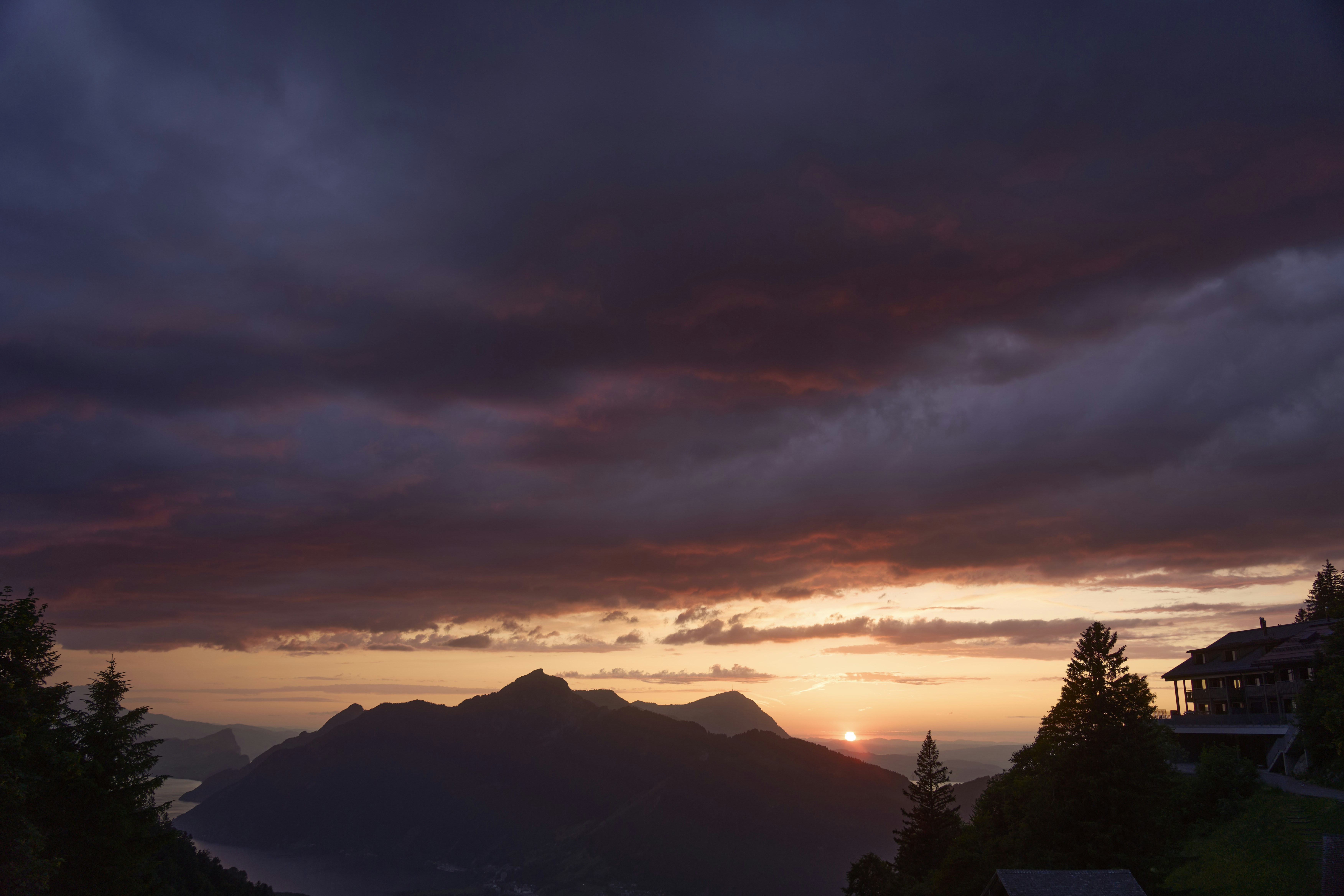 Photo by wolfgang_hasselmann