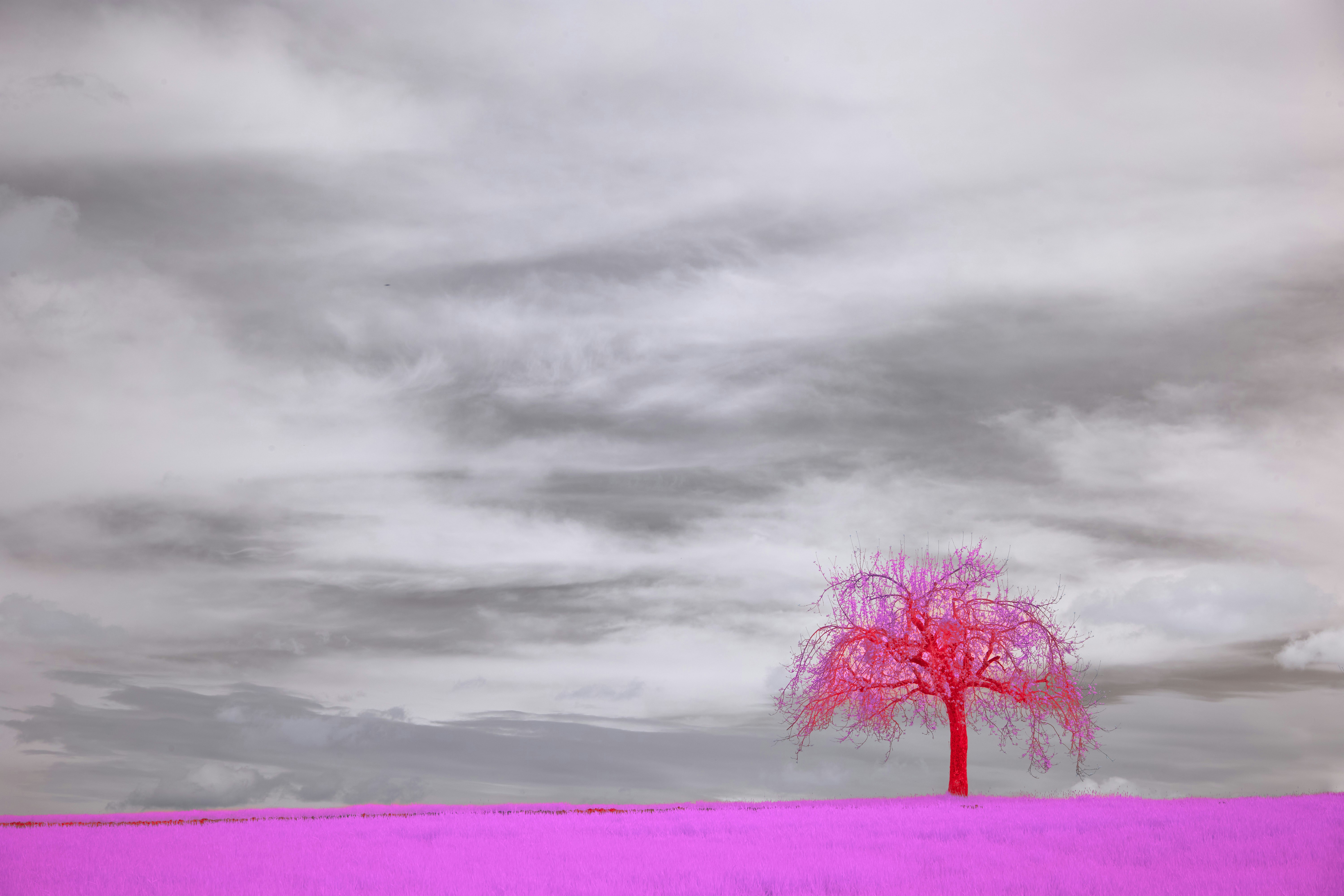 Photo by wolfgang_hasselmann