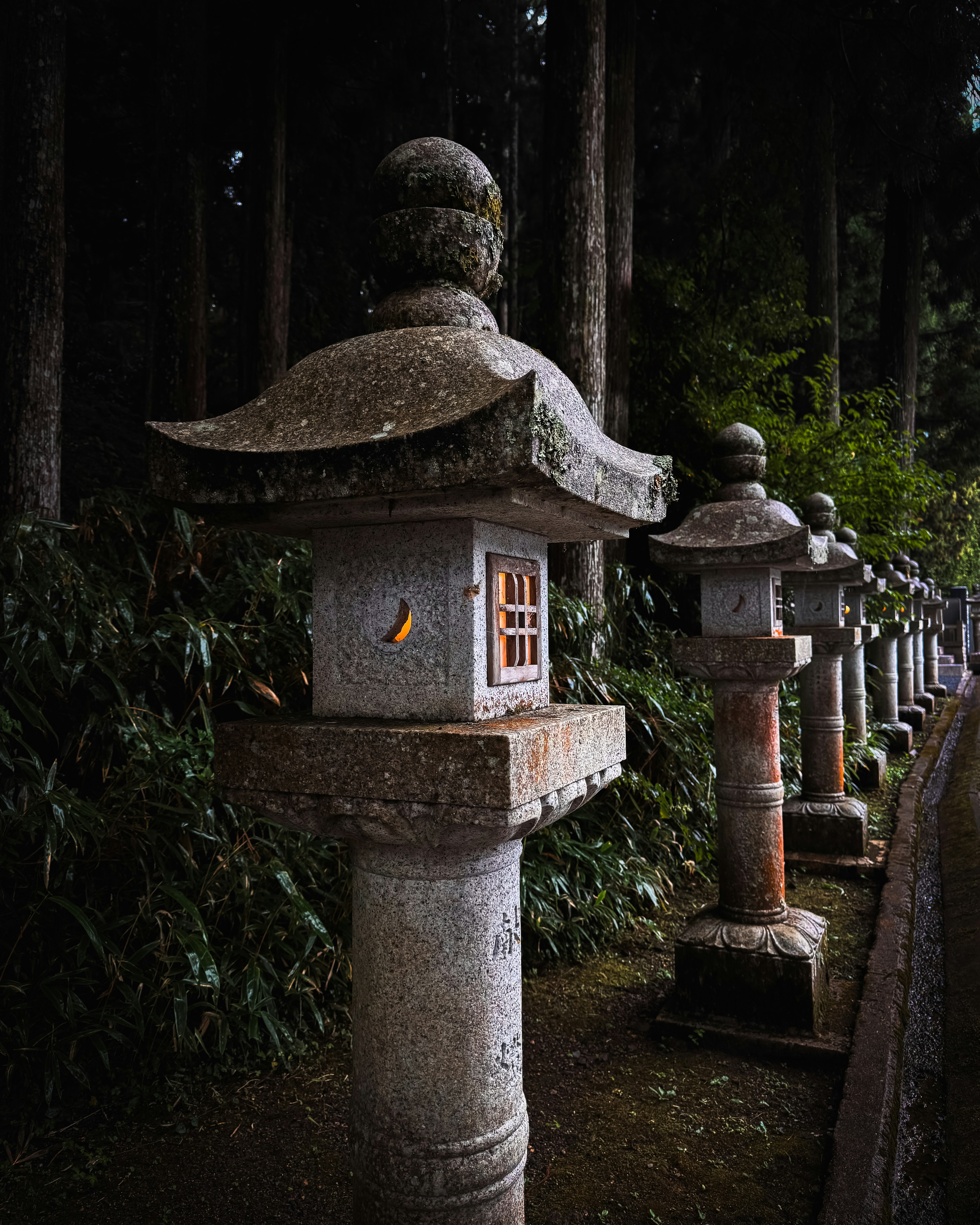 Stone lanterns line a path through a forest.
