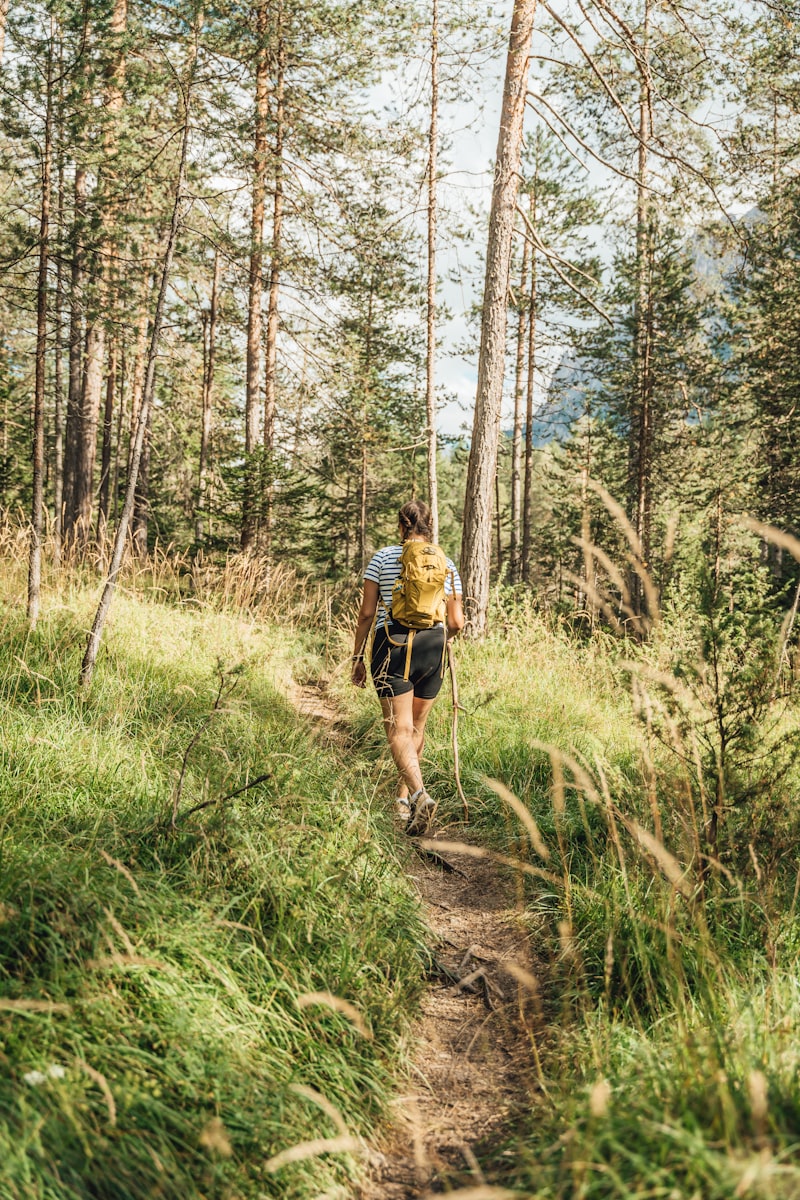 Waldweg mit Wanderin und Rucksack