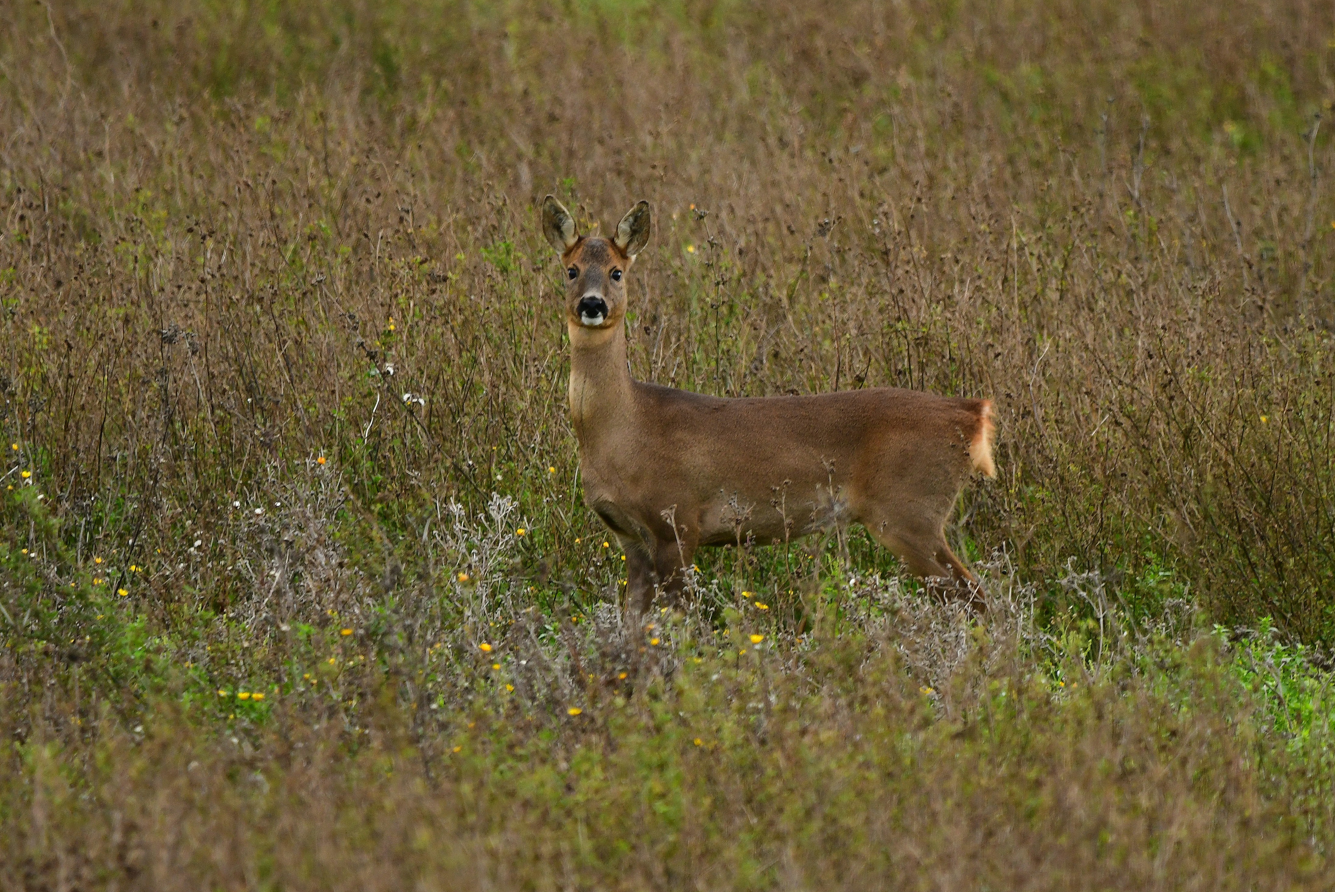 Photo by geraldine86170