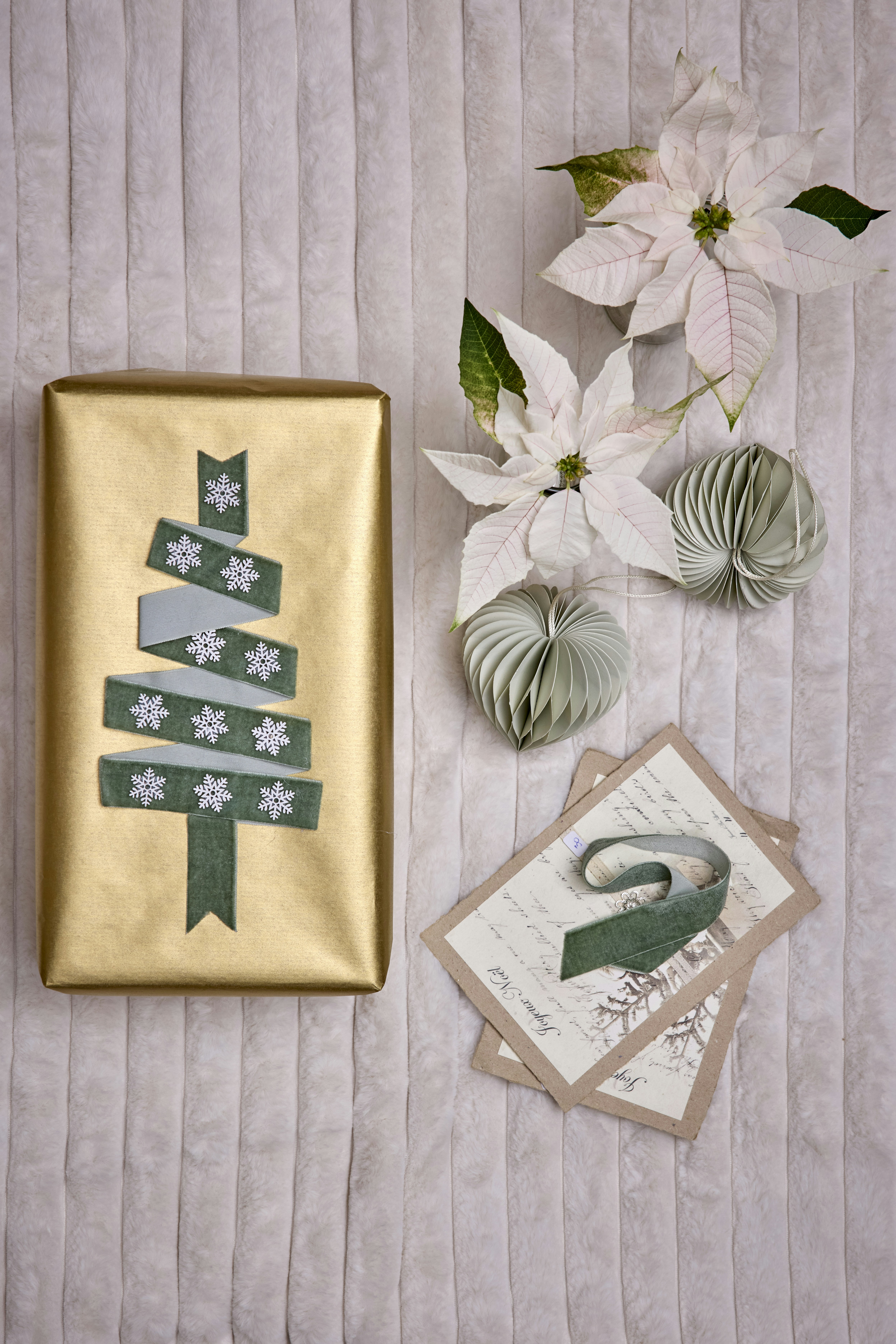 Photo by shaylabruins