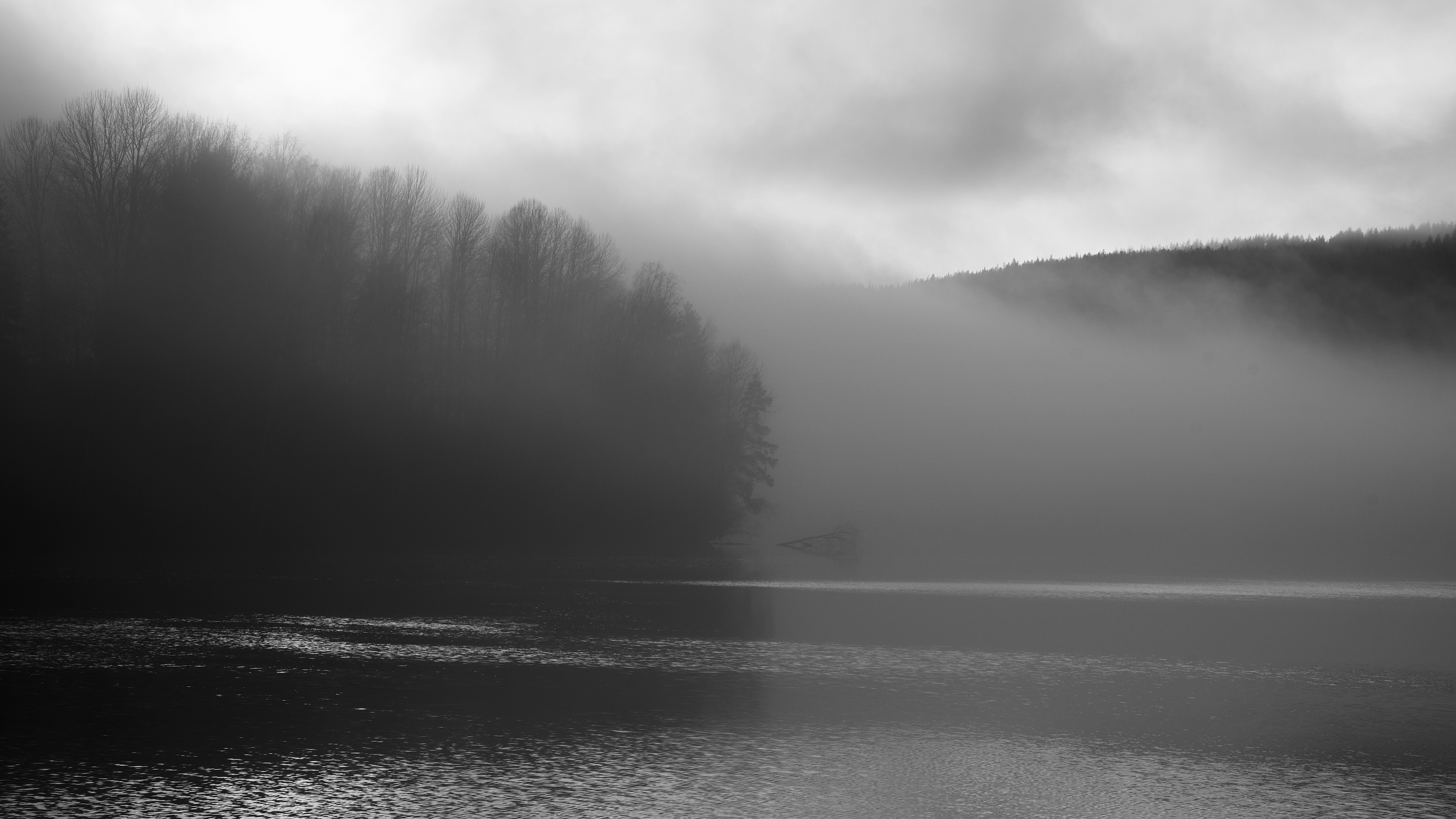 Photo by davotibarna