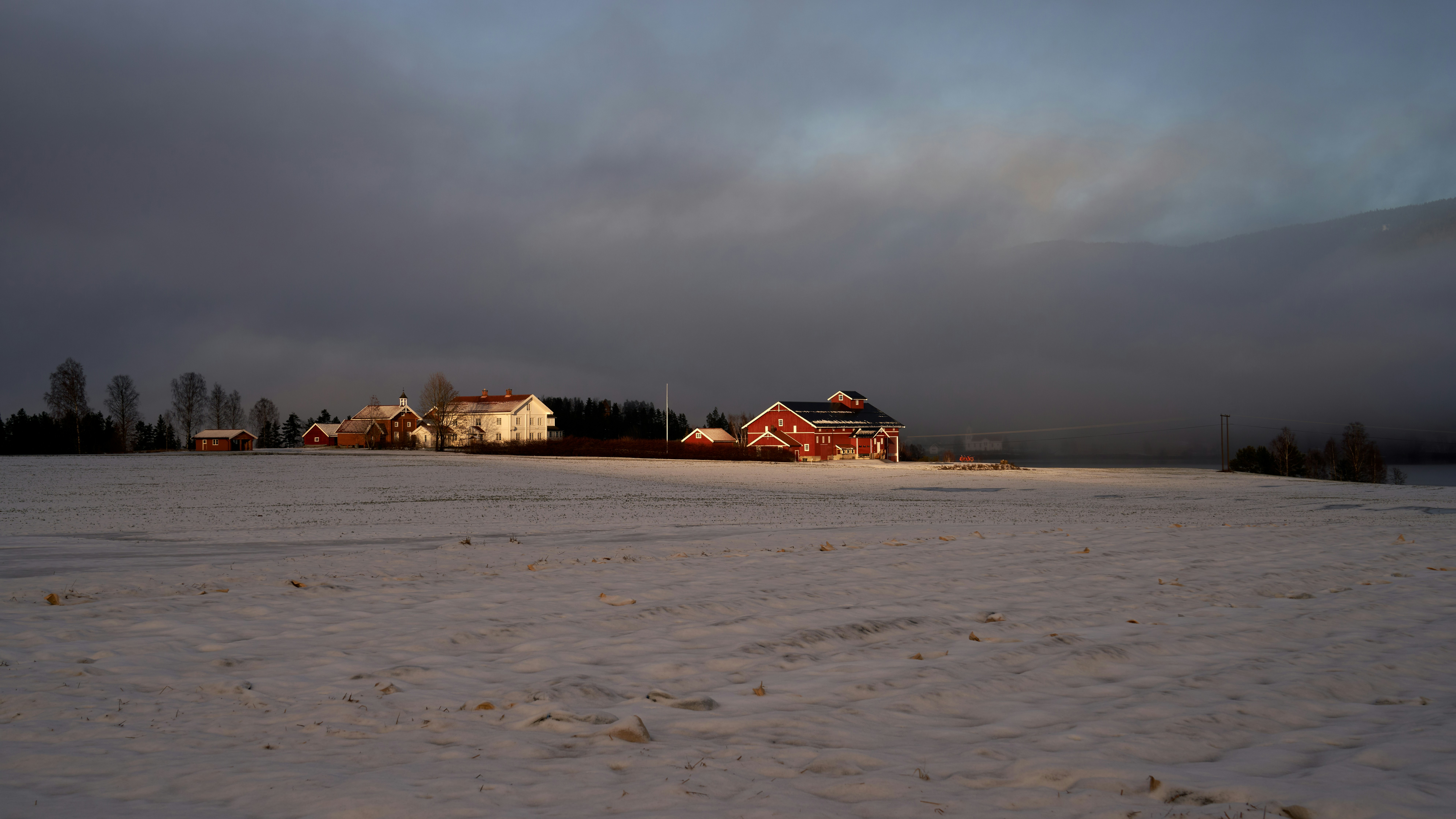 Photo by davotibarna