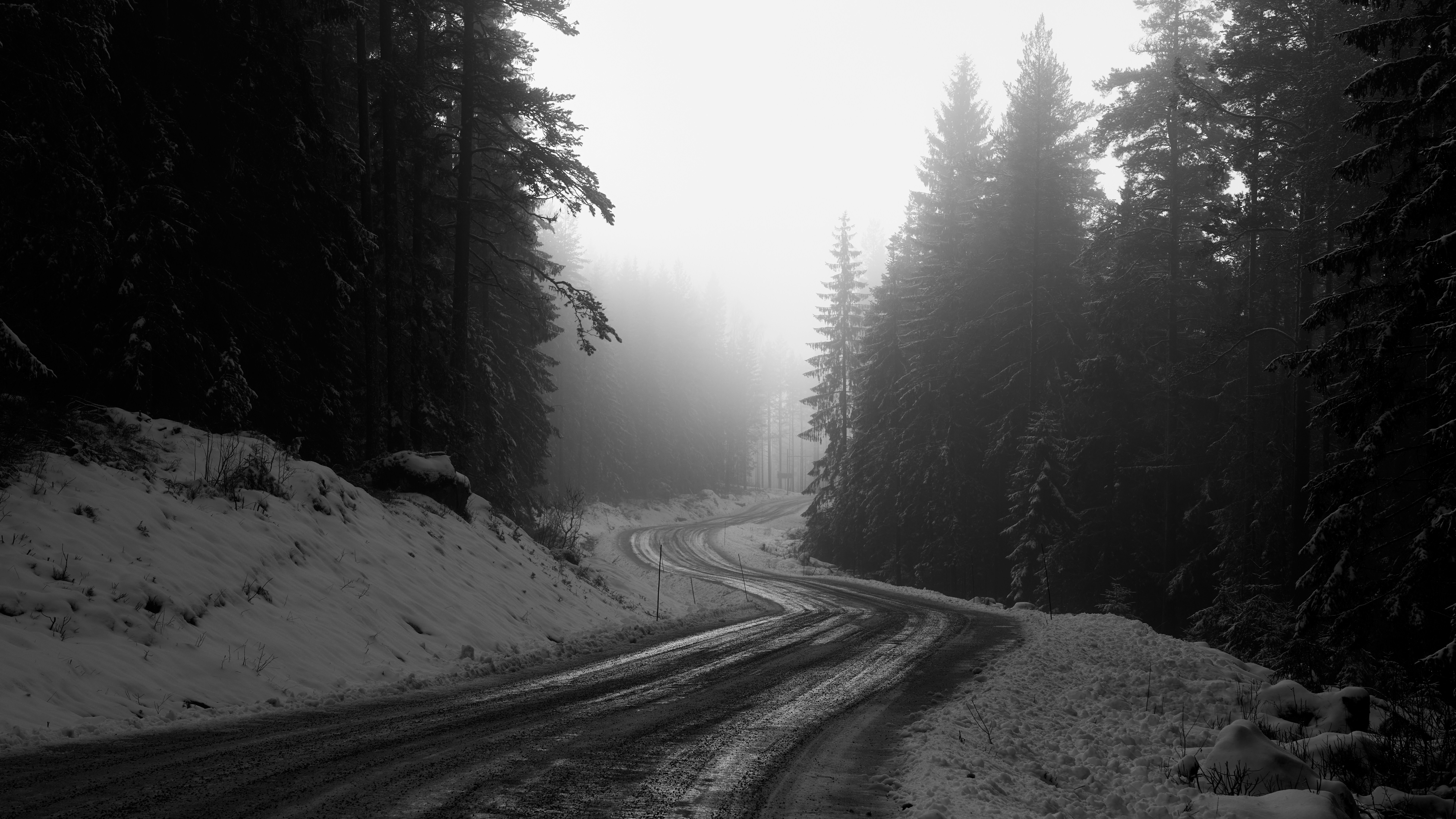 Photo by davotibarna