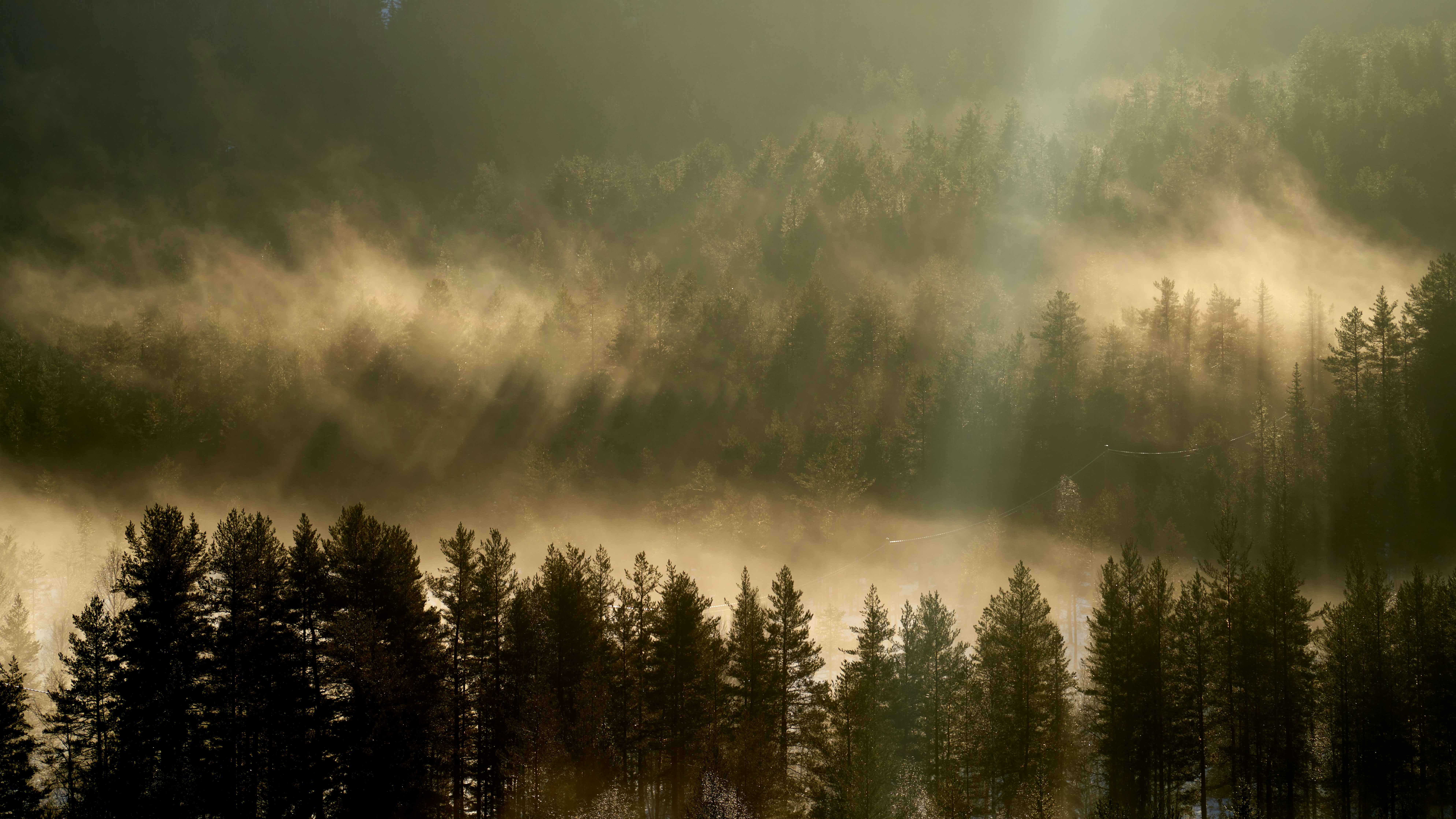 Photo by davotibarna