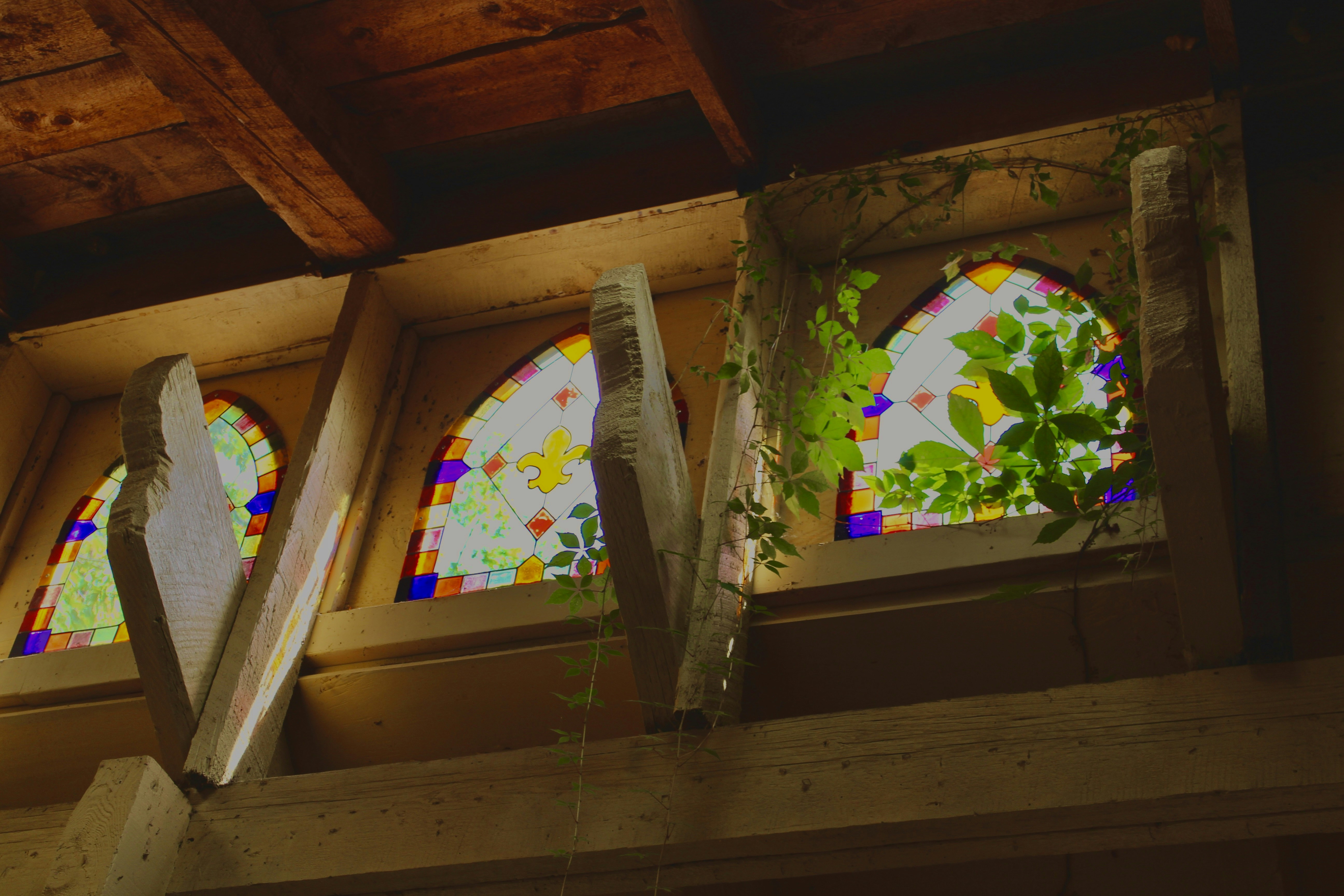 Stained glass windows with greenery growing