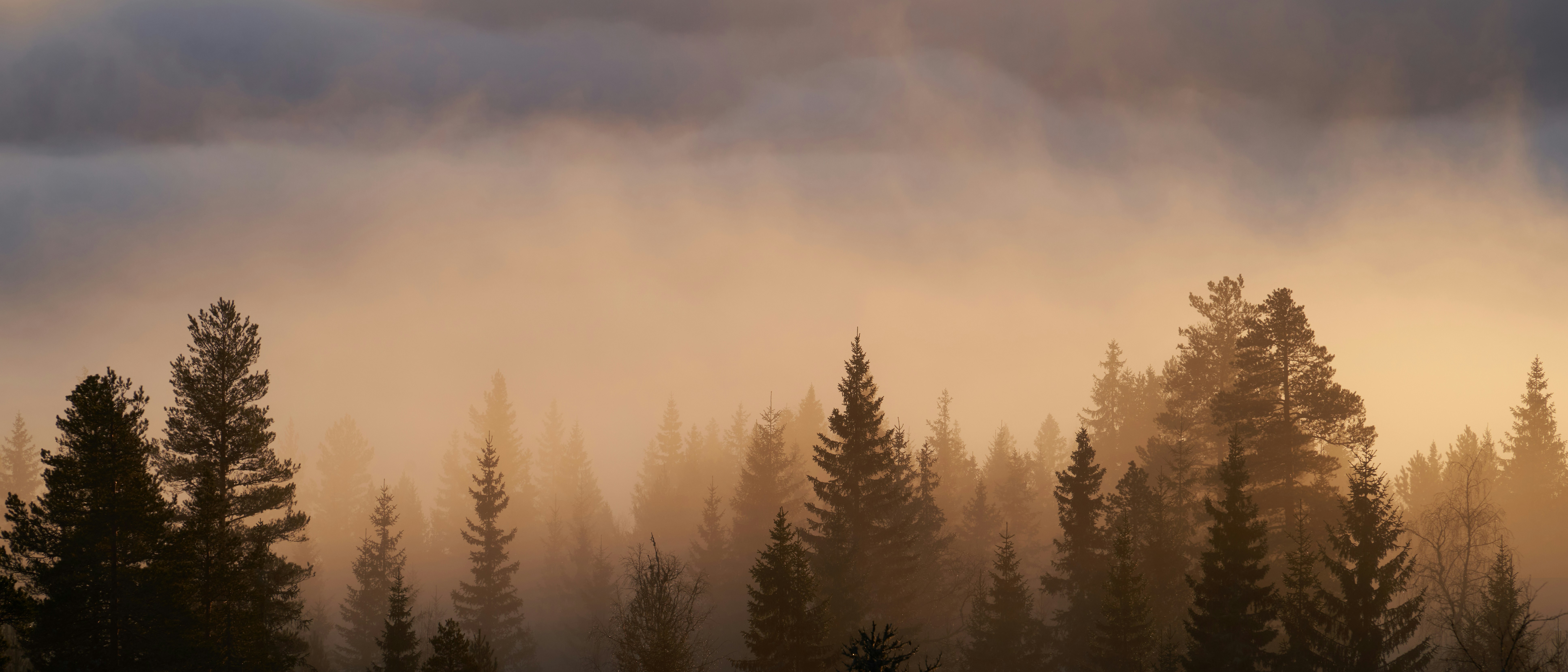 Photo by davotibarna