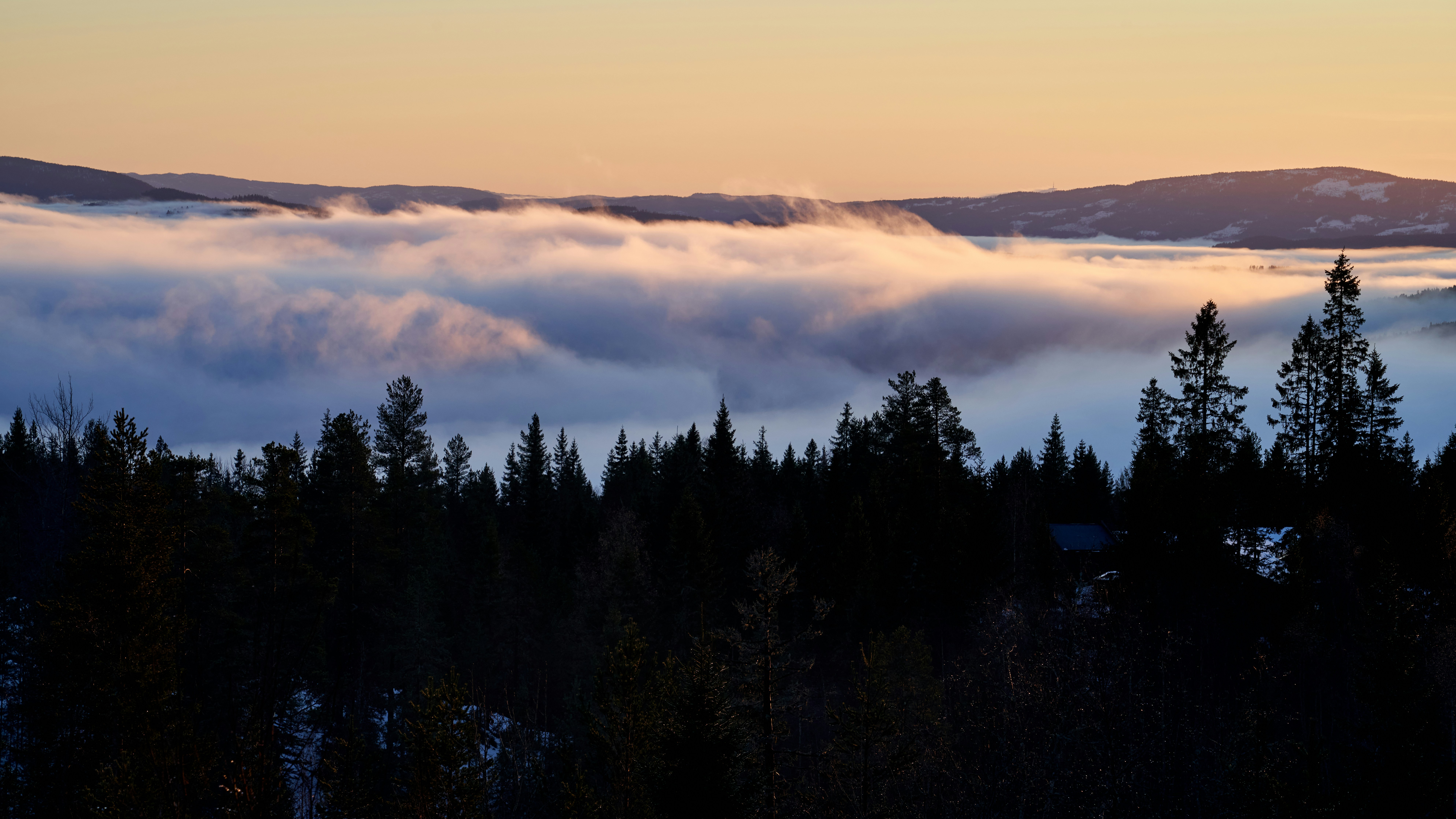 Photo by davotibarna