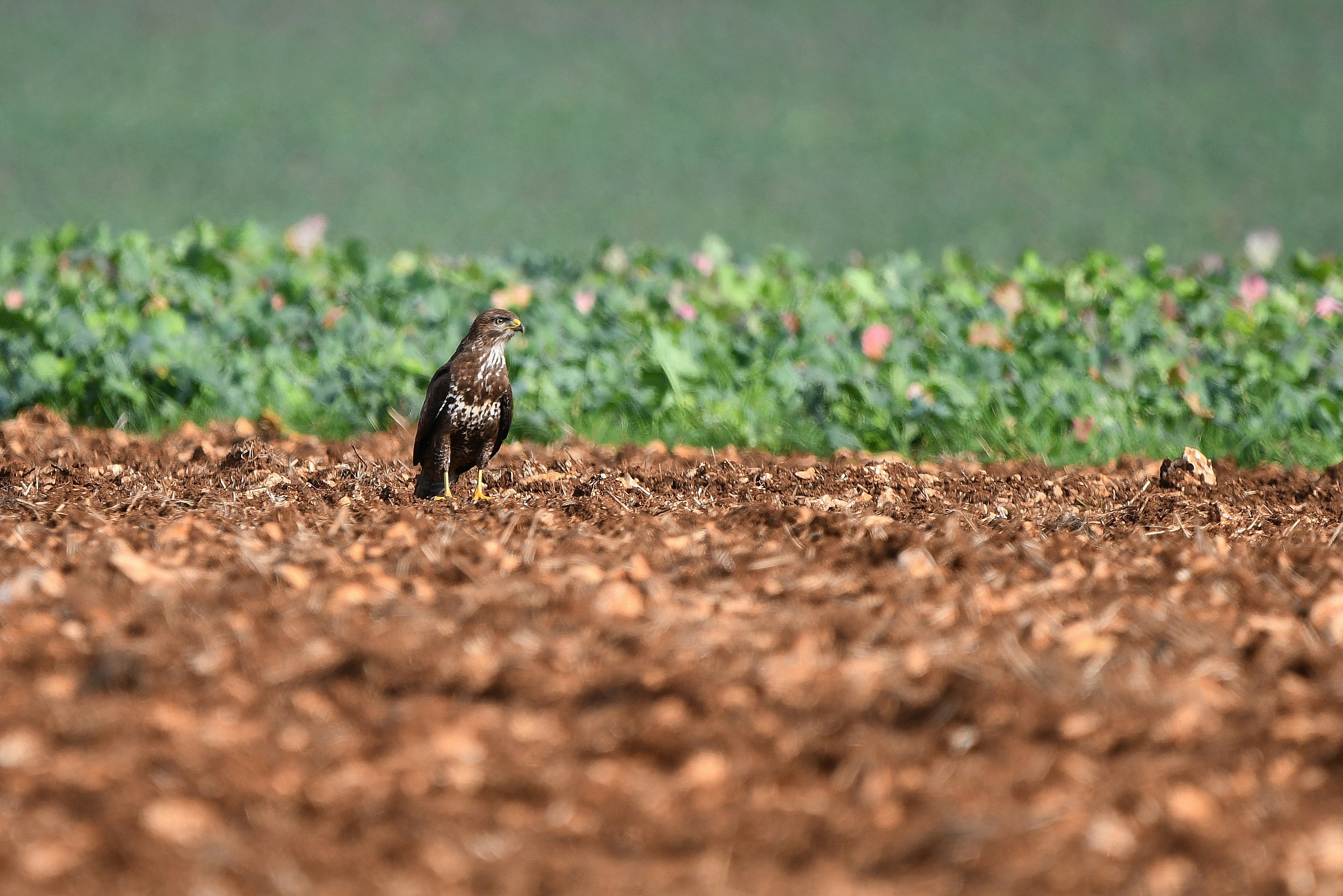 Photo by geraldine86170